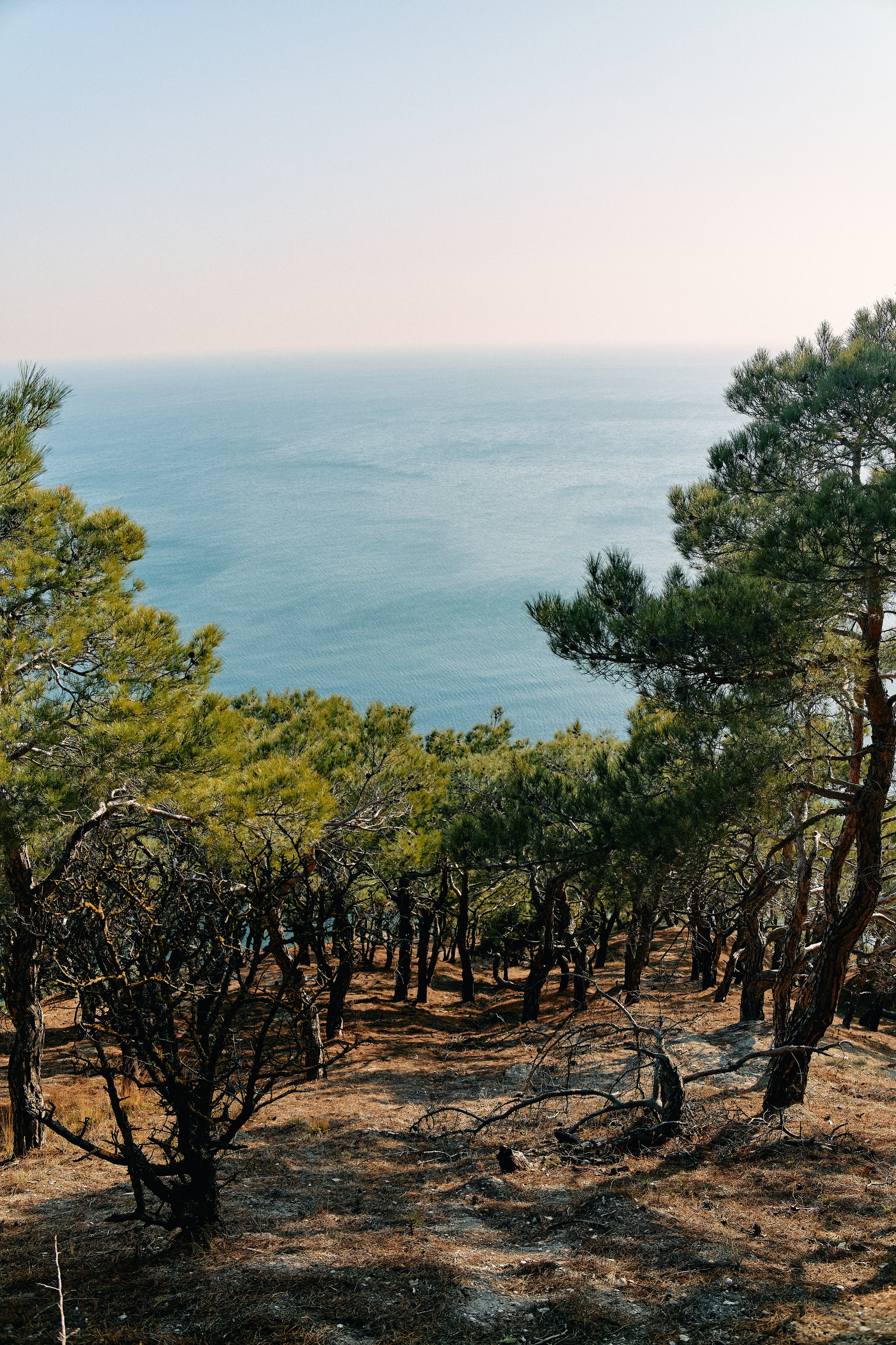 Юг России. Профессиональный Фотограф во Владимире, в Москве и в Суздале — Полина Романычева