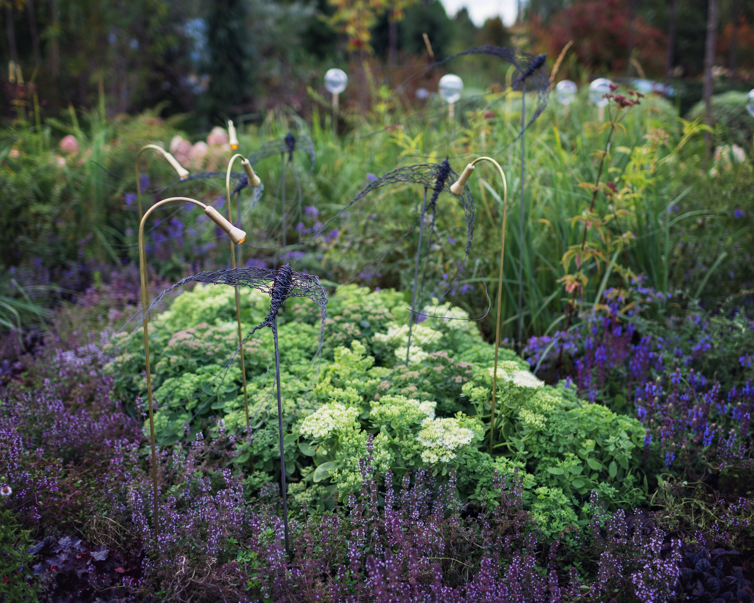 Ландшафтный дизайн. Фотограф Наталья Молчанова