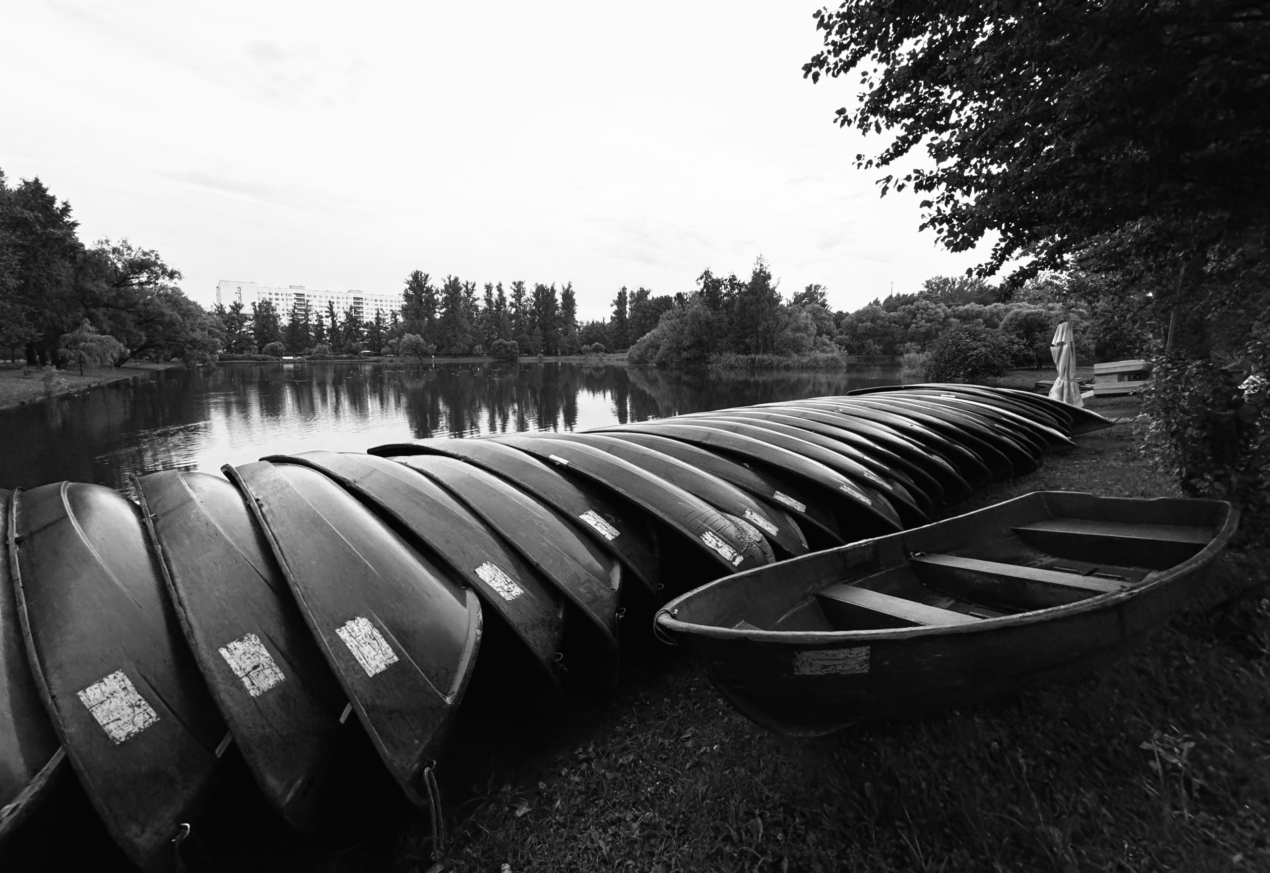 Картинки. Сандра Ковалева | ЧБ фотограф