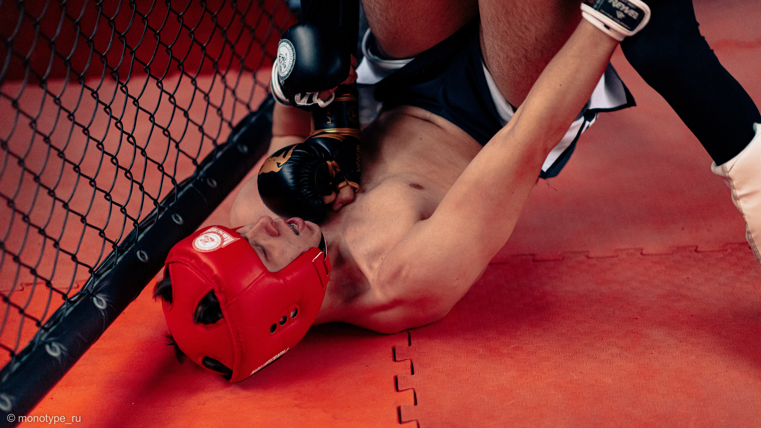 MMA. Бойцовский турнир