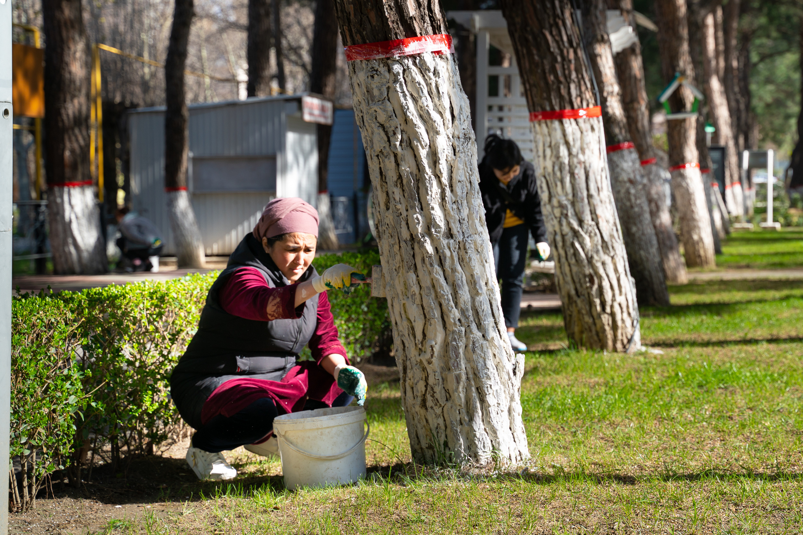 Сельский субботник. Жизнь курорта Кабардинка в фотографиях