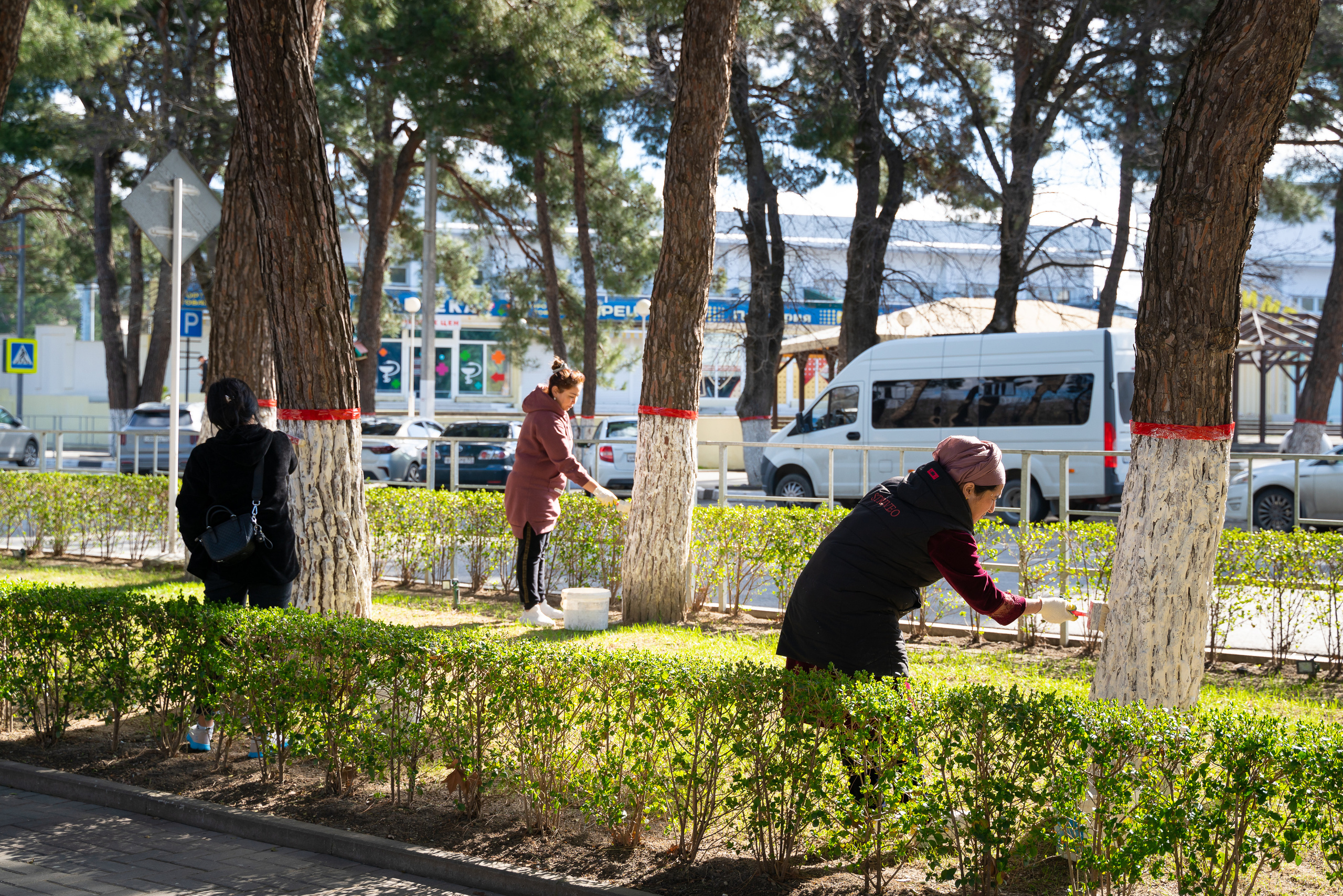 Сельский субботник. Жизнь курорта Кабардинка в фотографиях
