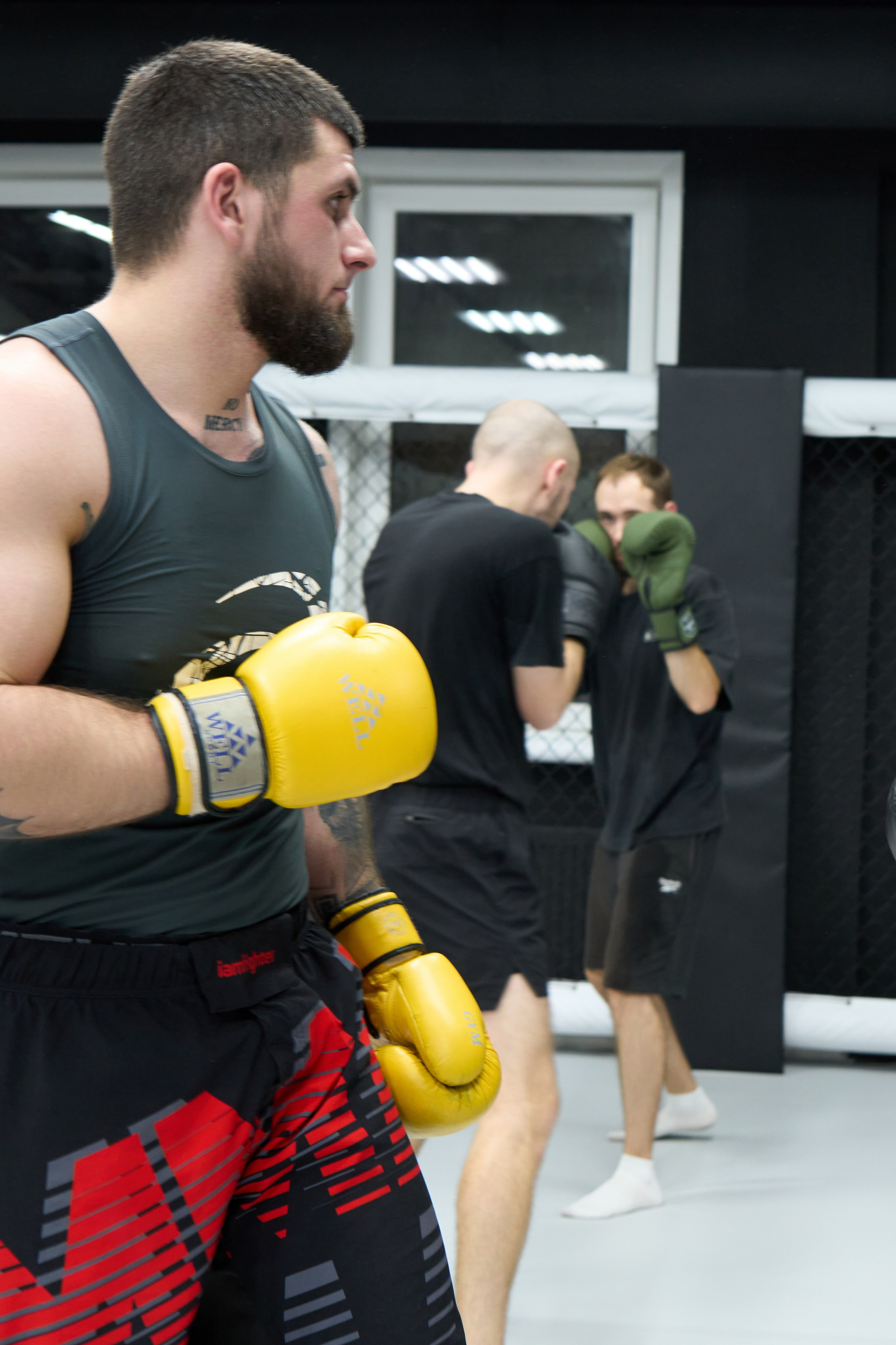 Клуб смешанных единоборств. Фотограф в Краснодаре Татьяна Вижевитова