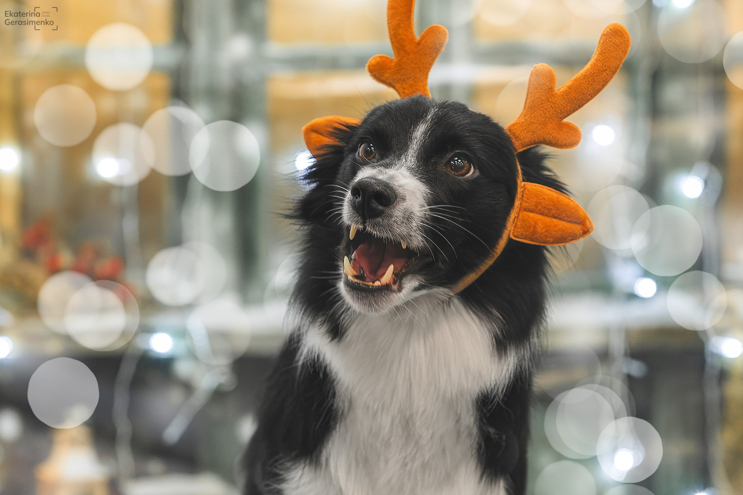 Фотодень. Htykk_photo