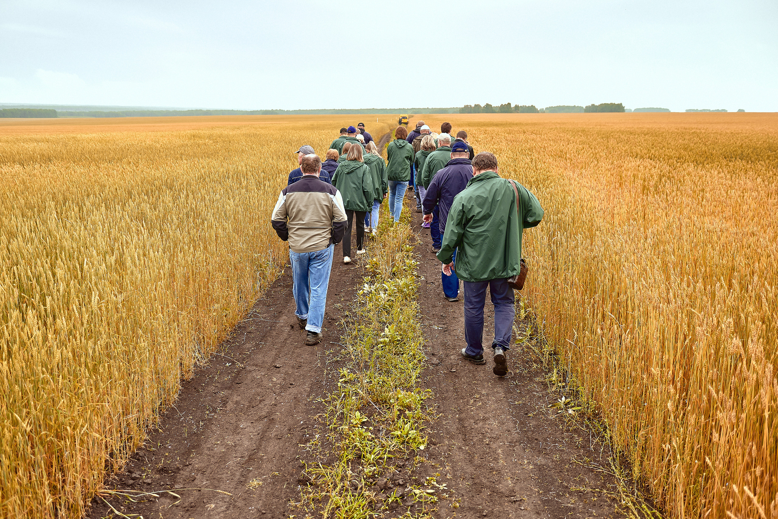 Портфолио репортажной фотосъёмки: Компания "Агросервис" КССС посёлок-Авда. Фотограф Яковлев Роман — Красноярск