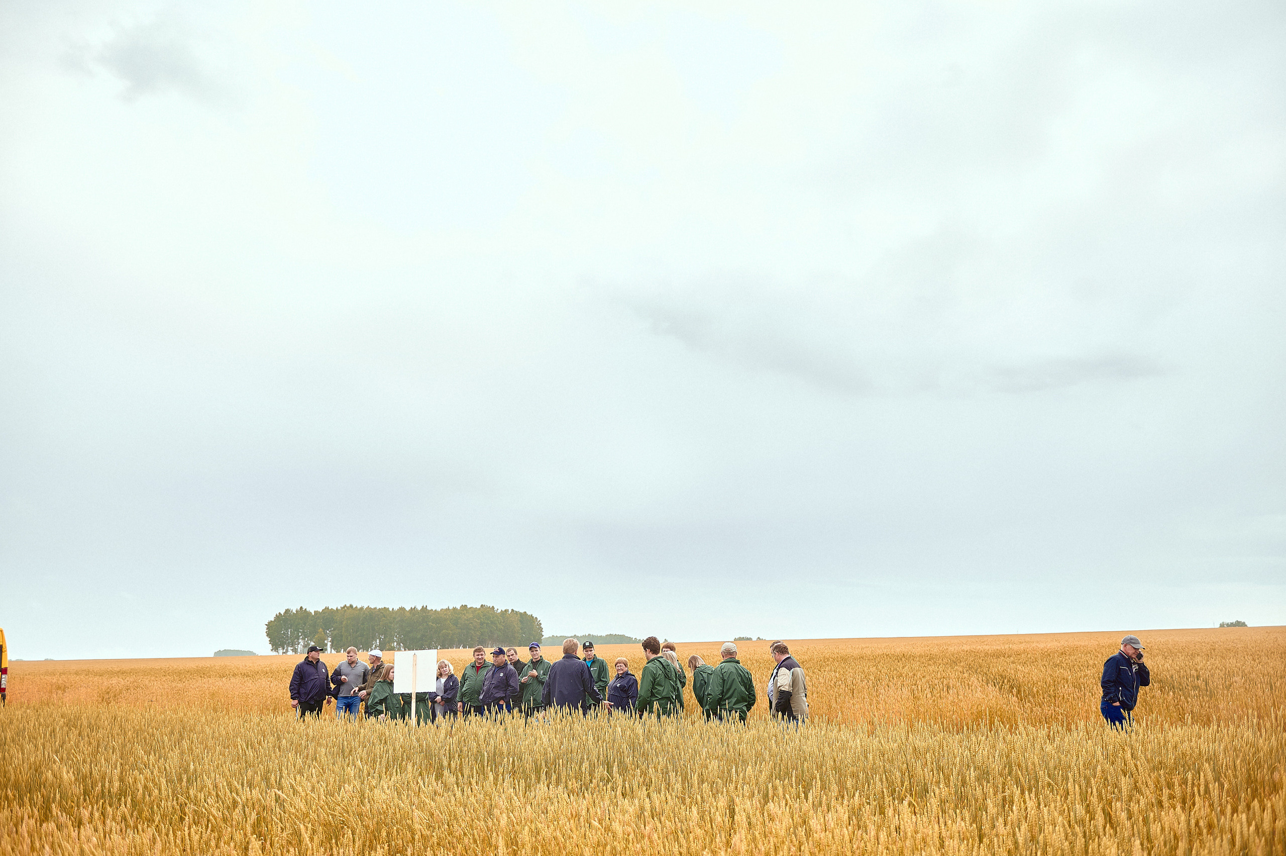 Портфолио репортажной фотосъёмки: Компания "Агросервис" КССС посёлок-Авда. Фотограф Яковлев Роман — Красноярск