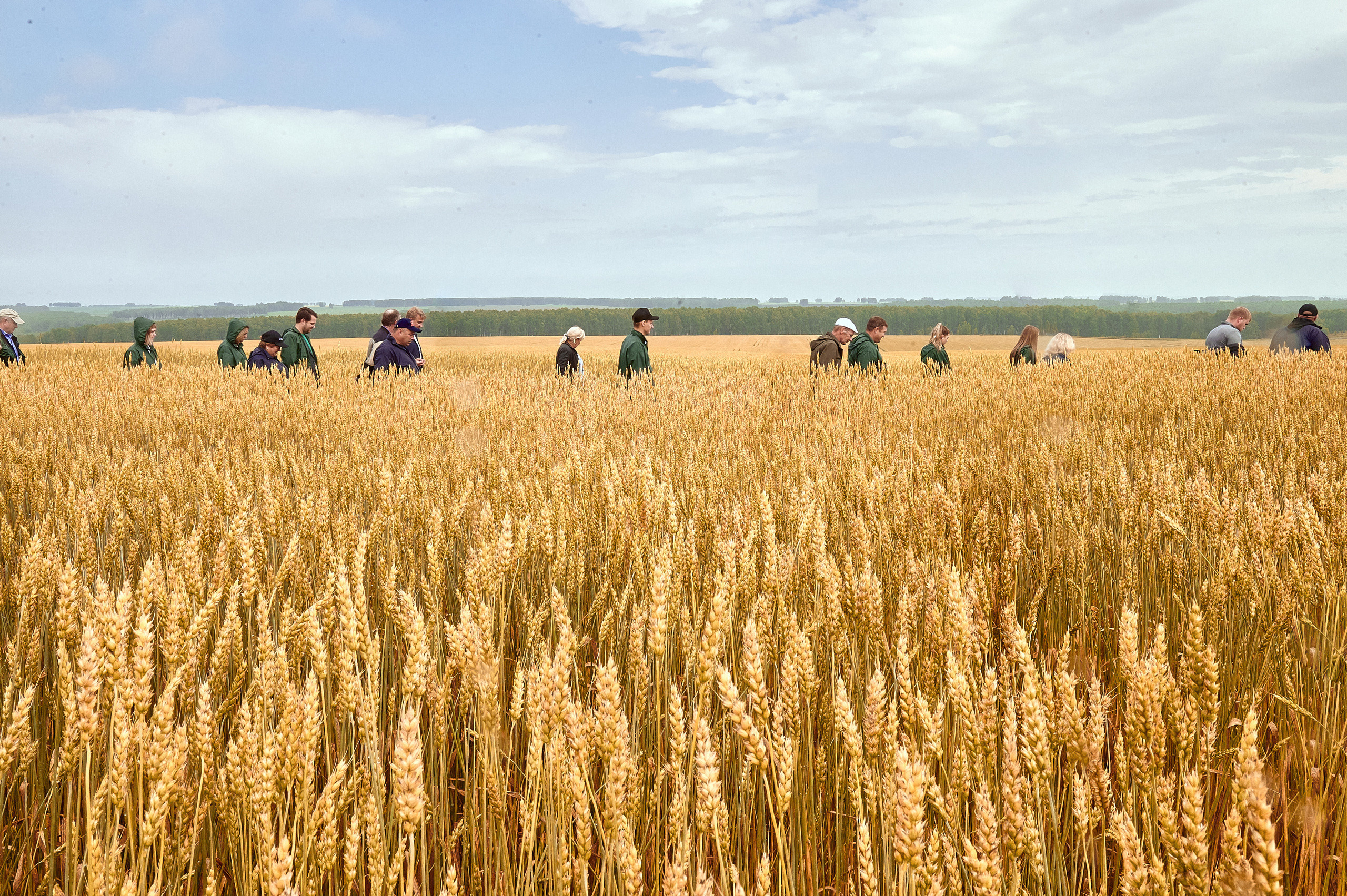 Портфолио репортажной фотосъёмки: Компания "Агросервис" КССС посёлок-Авда. Фотограф Яковлев Роман — Красноярск