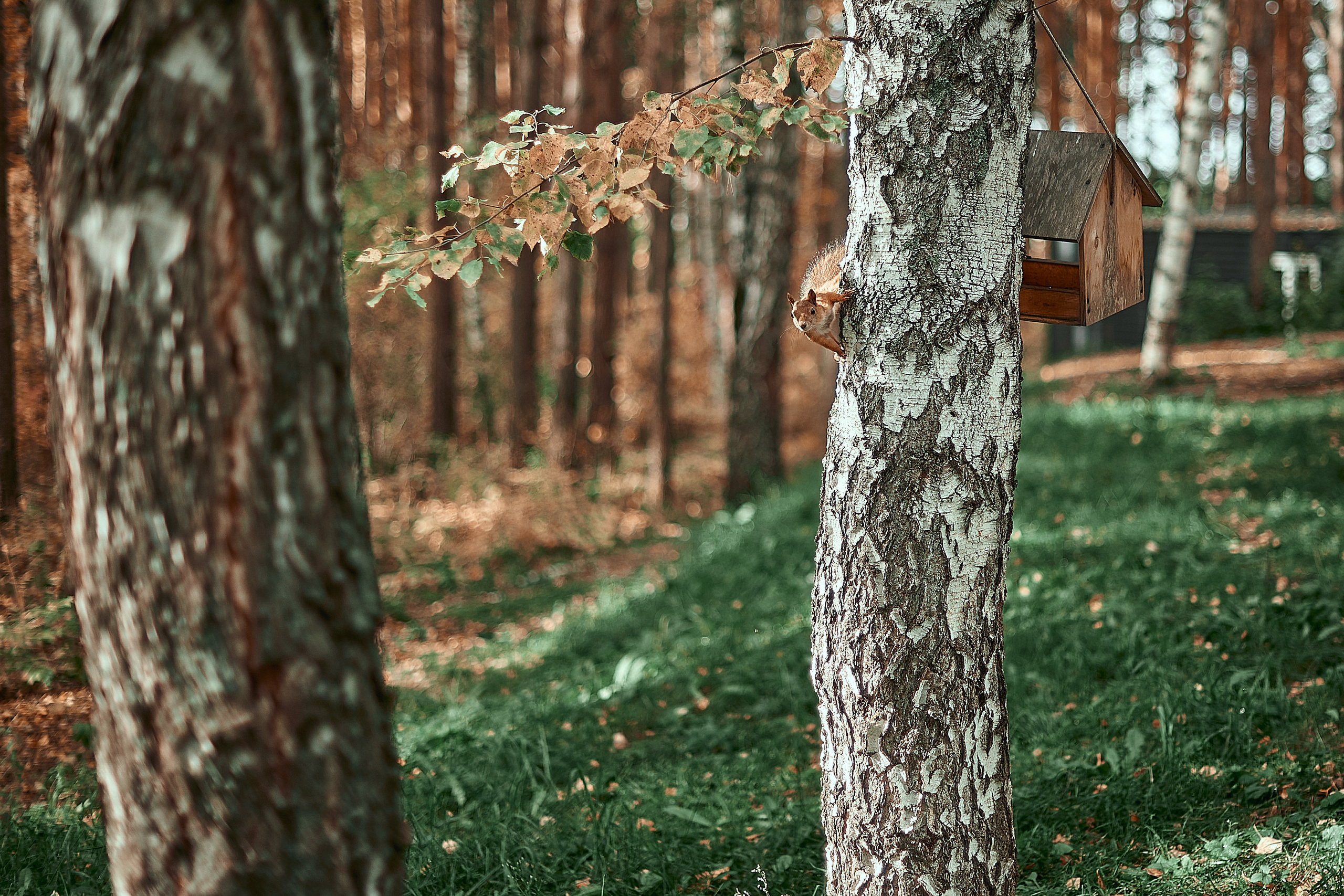 Портфолио репортажной фотосъёмки: День туризма. Фотограф Яковлев Роман — Красноярск