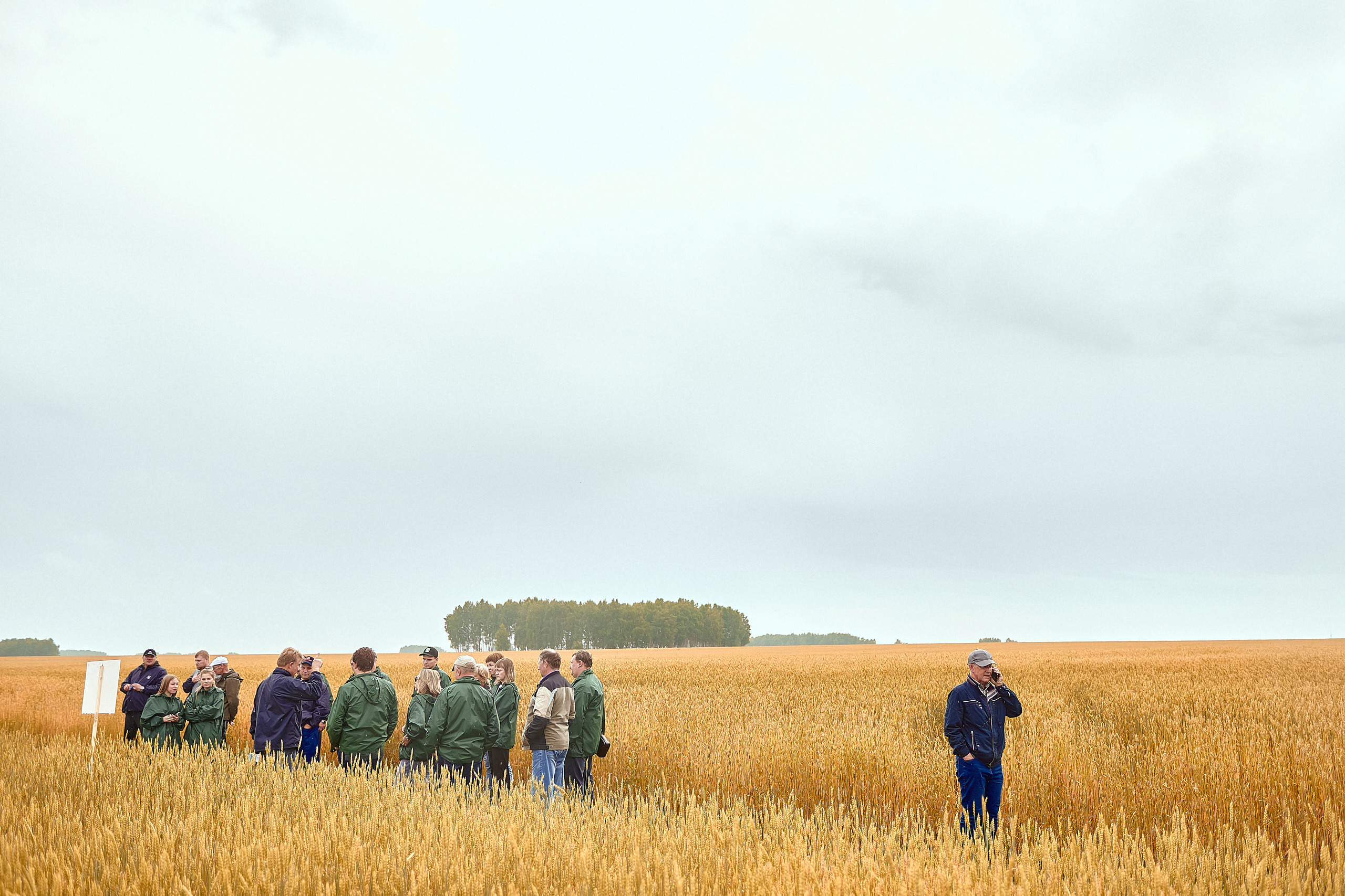 Портфолио репортажной фотосъёмки: Компания "Агросервис" КССС посёлок-Авда. Фотограф Яковлев Роман — Красноярск