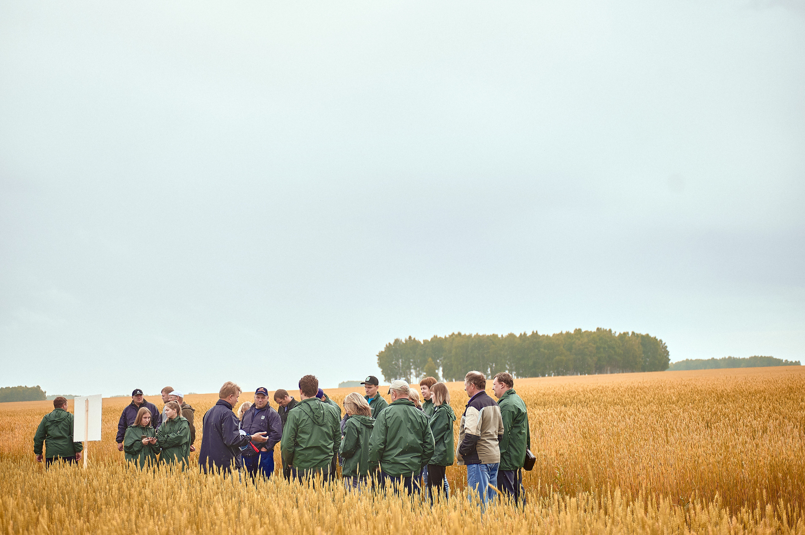 Портфолио репортажной фотосъёмки: Компания "Агросервис" КССС посёлок-Авда. Фотограф Яковлев Роман — Красноярск