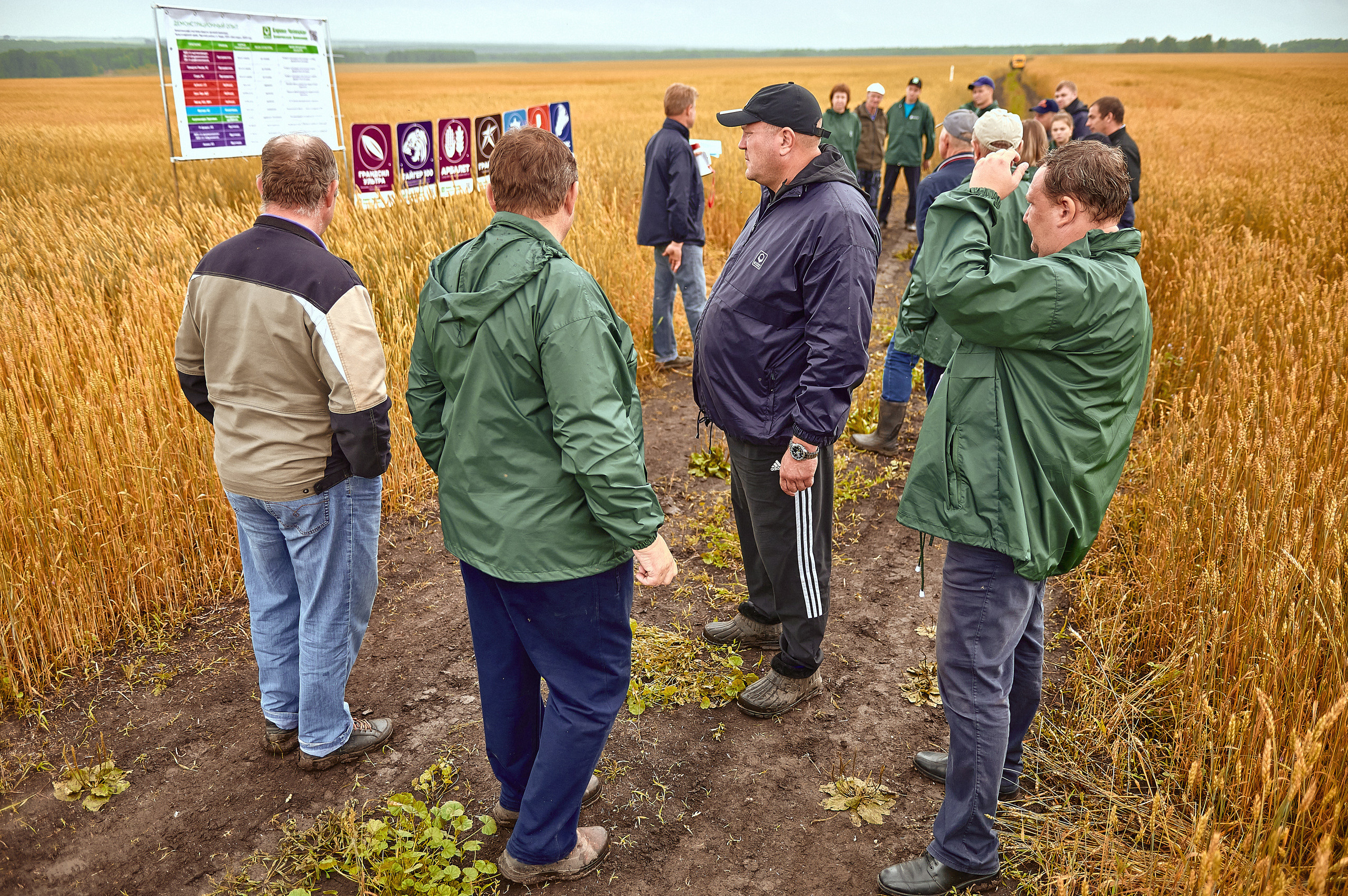 Портфолио репортажной фотосъёмки: Компания "Агросервис" КССС посёлок-Авда. Фотограф Яковлев Роман — Красноярск