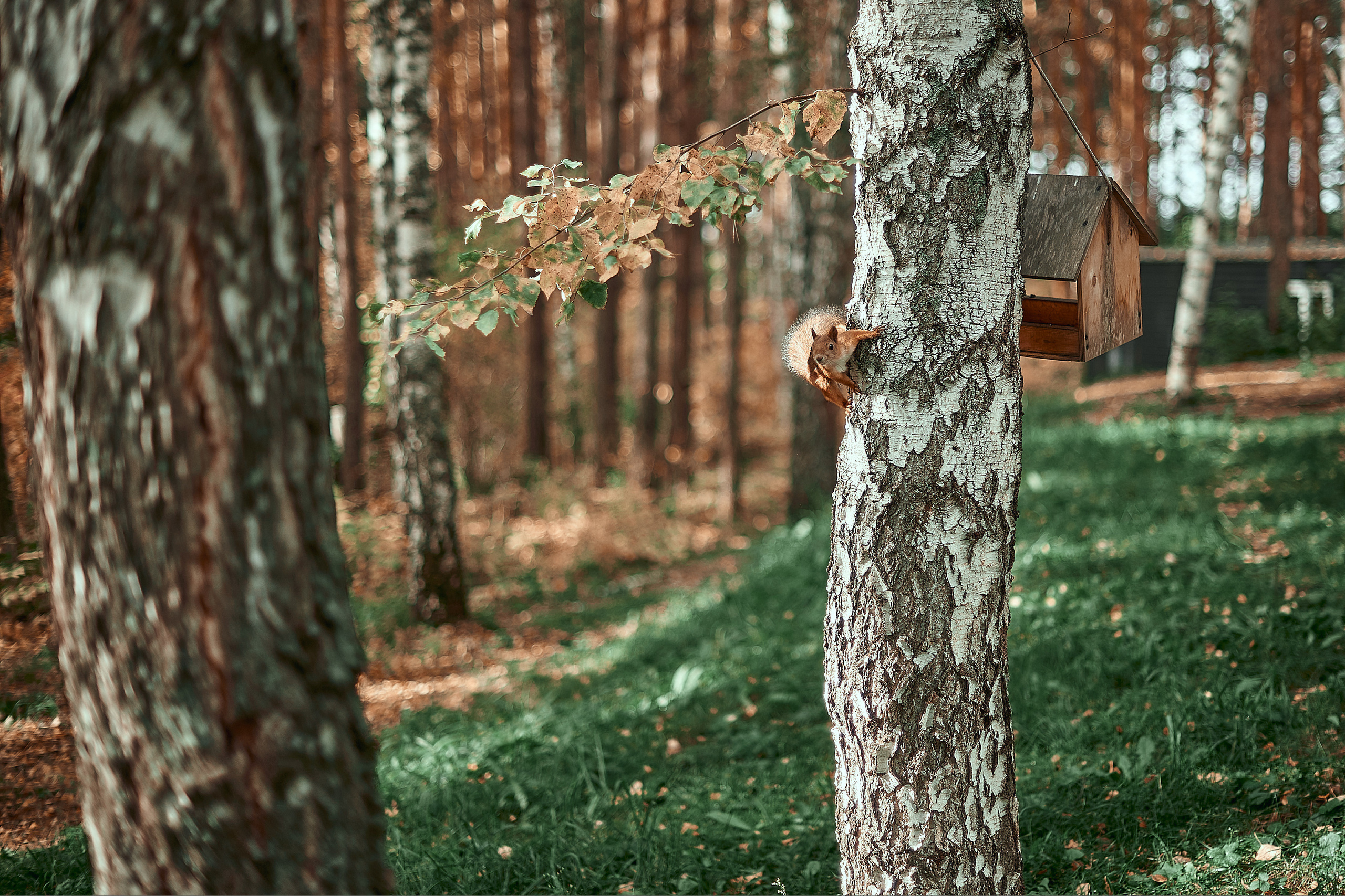 Портфолио репортажной фотосъёмки: День туризма. Фотограф Яковлев Роман — Красноярск