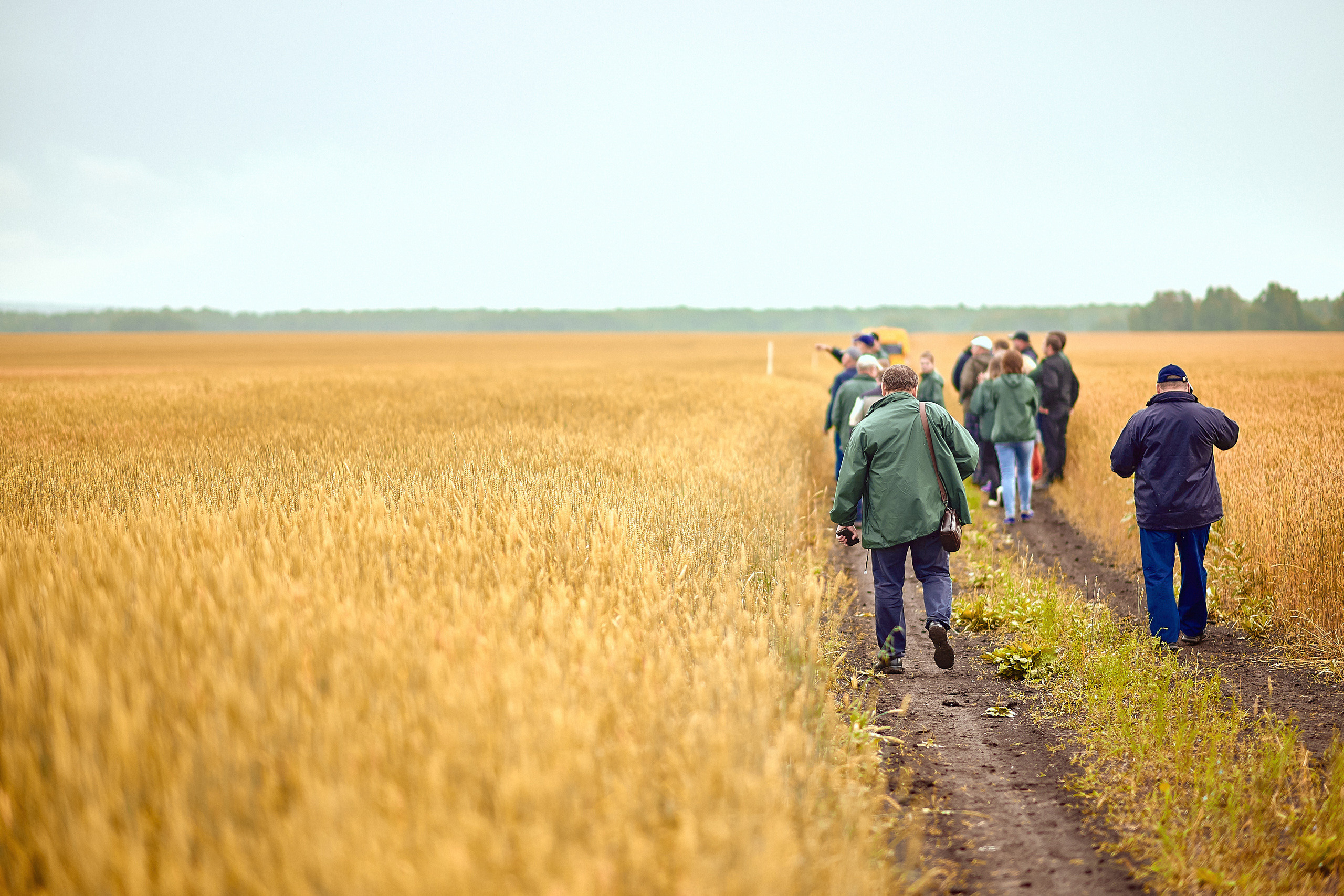 Портфолио репортажной фотосъёмки: Компания "Агросервис" КССС посёлок-Авда. Фотограф Яковлев Роман — Красноярск