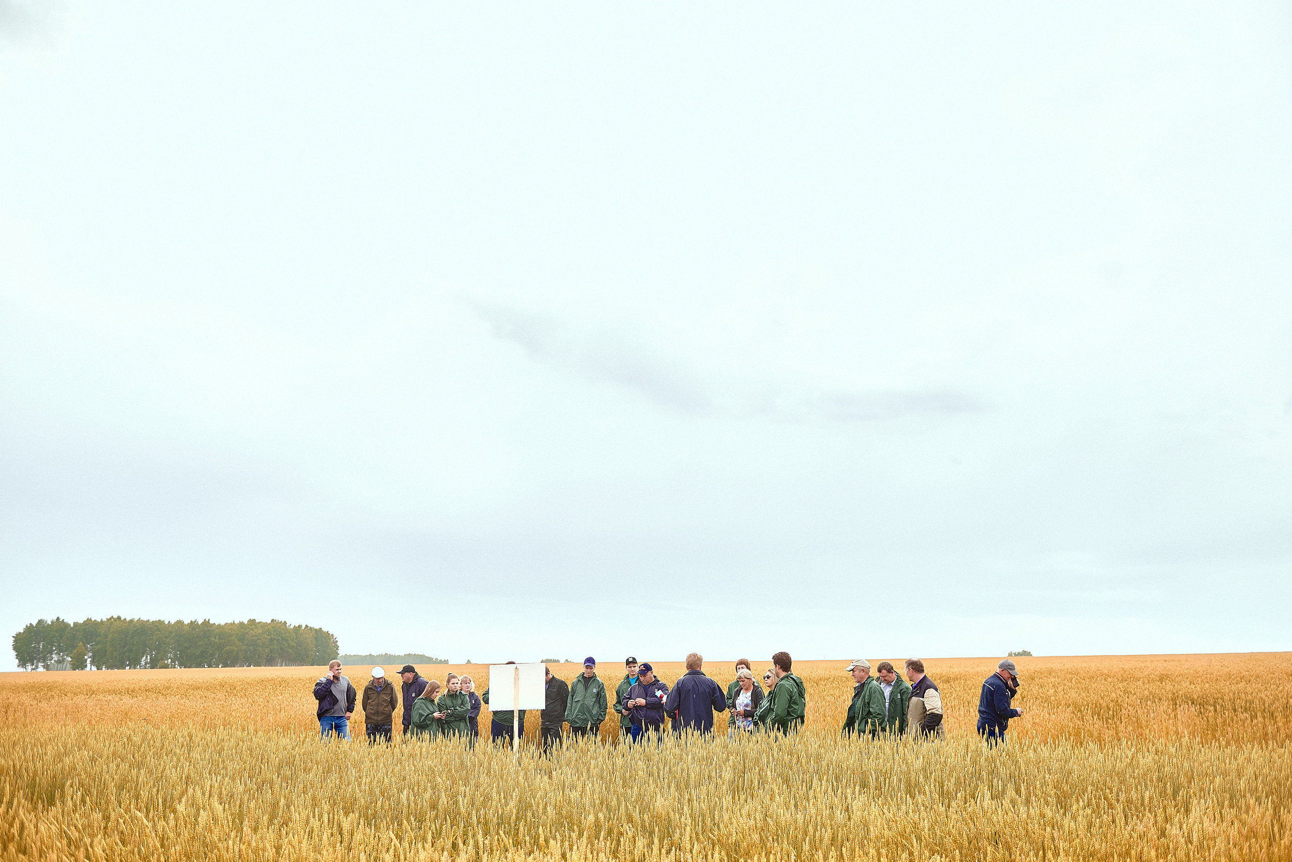 Портфолио репортажной фотосъёмки: Компания "Агросервис" КССС посёлок-Авда. Фотограф Яковлев Роман — Красноярск