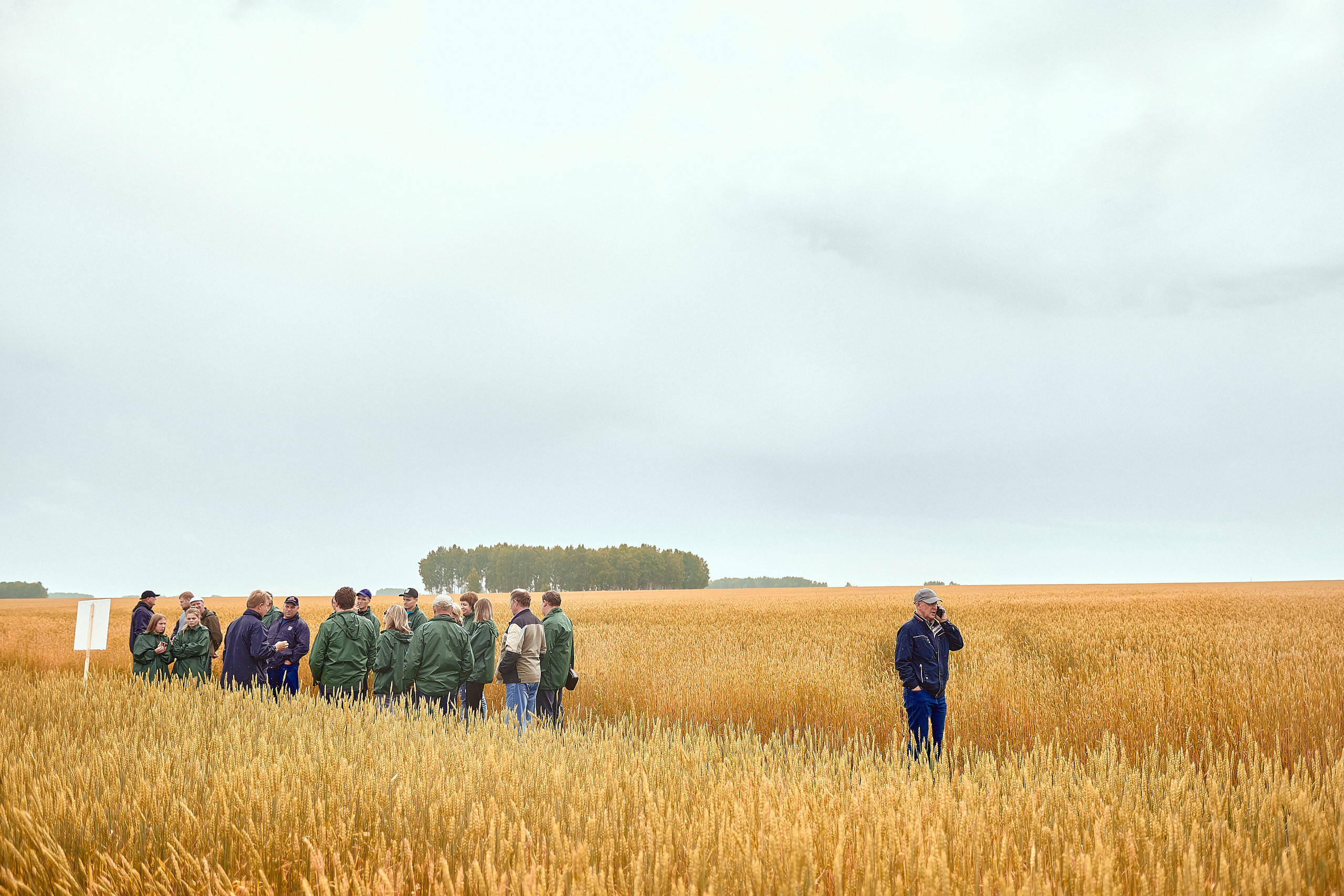 Портфолио репортажной фотосъёмки: Компания "Агросервис" КССС посёлок-Авда. Фотограф Яковлев Роман — Красноярск