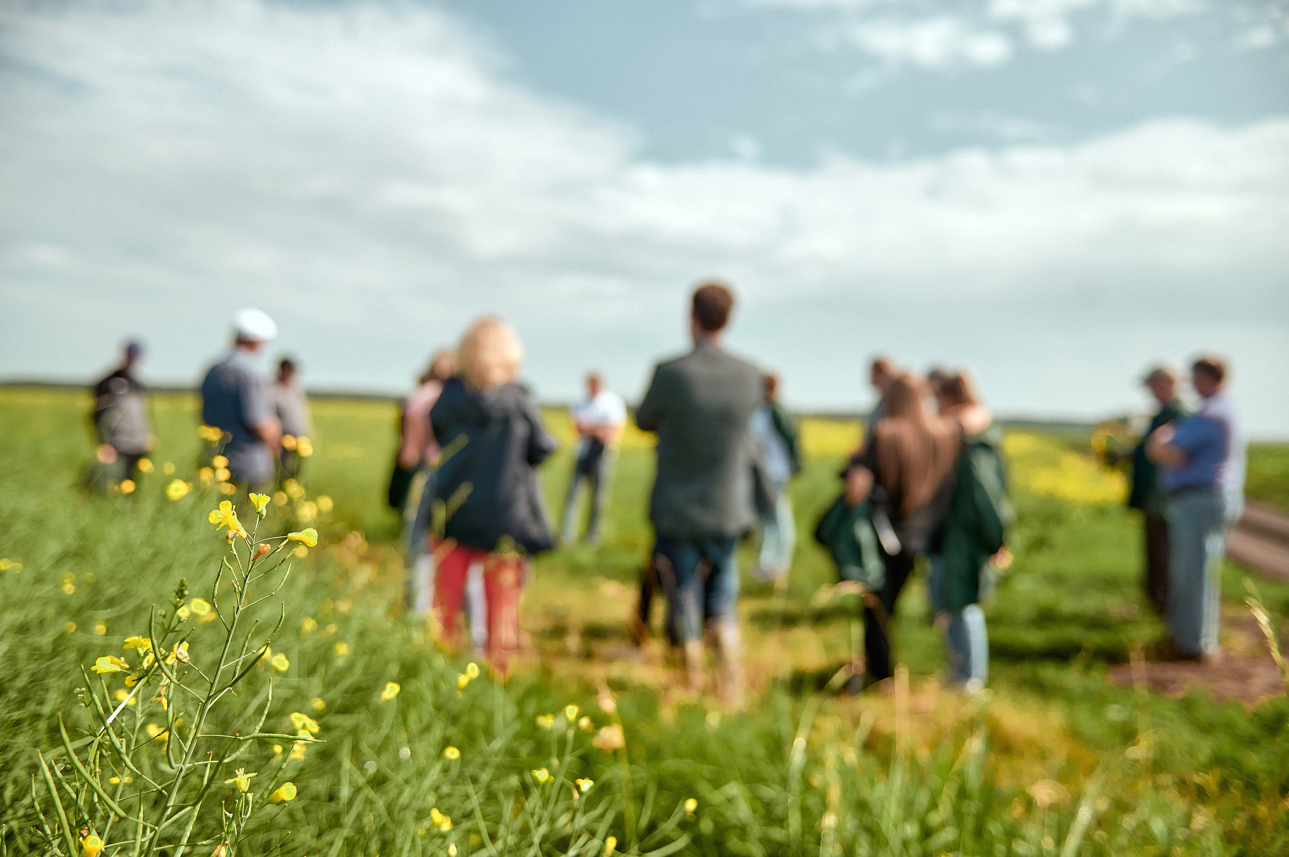 Портфолио репортажной фотосъёмки: Компания "Агросервис" КССС посёлок-Авда. Фотограф Яковлев Роман — Красноярск