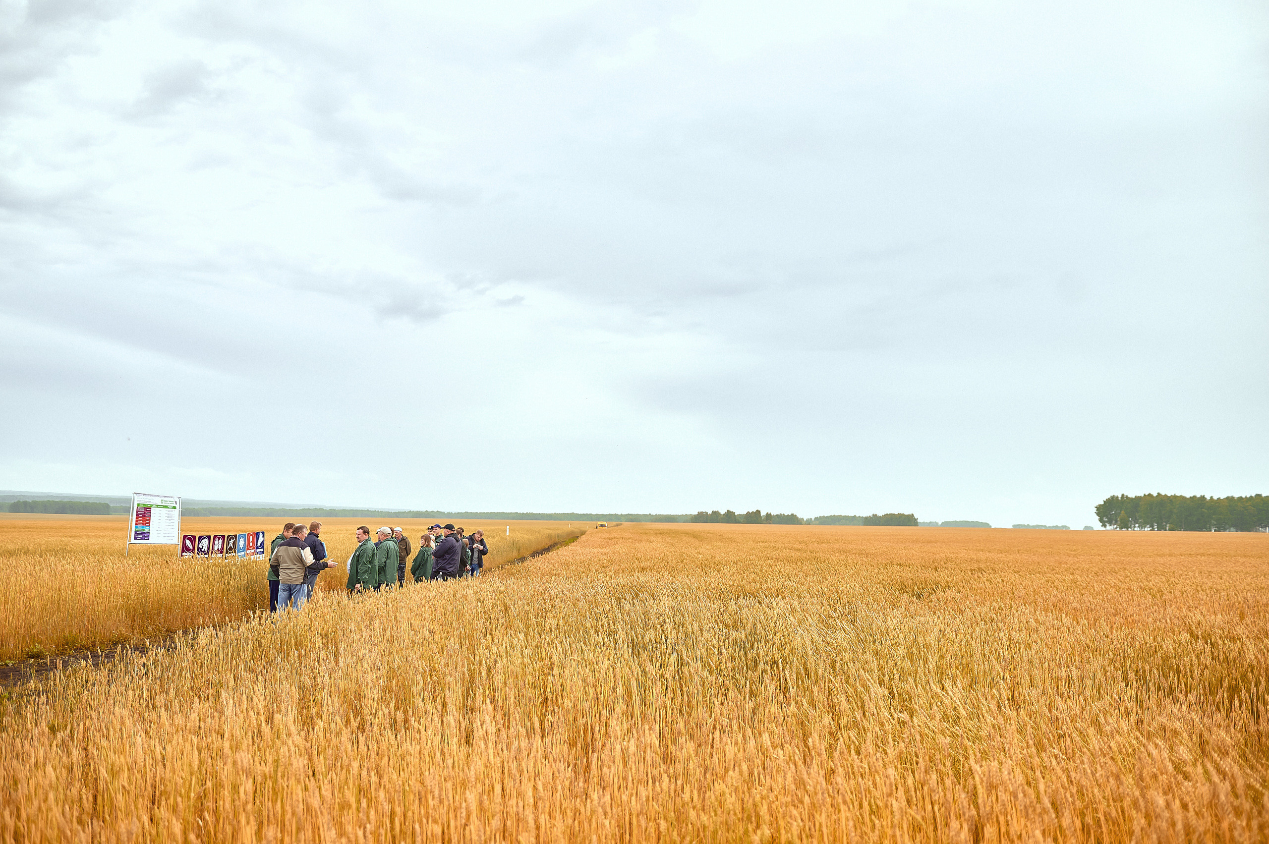 Портфолио репортажной фотосъёмки: Компания "Агросервис" КССС посёлок-Авда. Фотограф Яковлев Роман — Красноярск