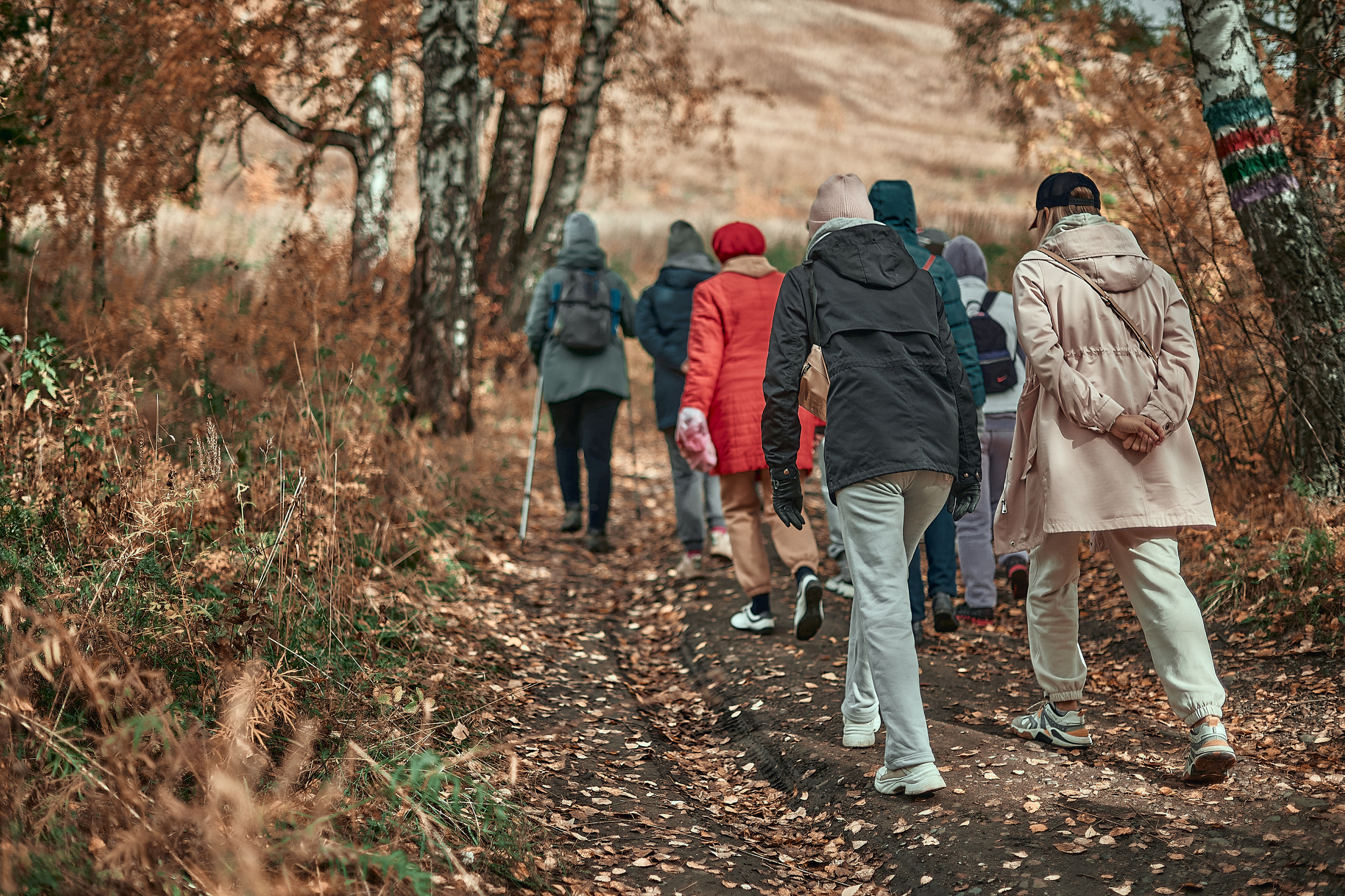 Портфолио репортажной фотосъёмки: День туризма. Фотограф Яковлев Роман — Красноярск