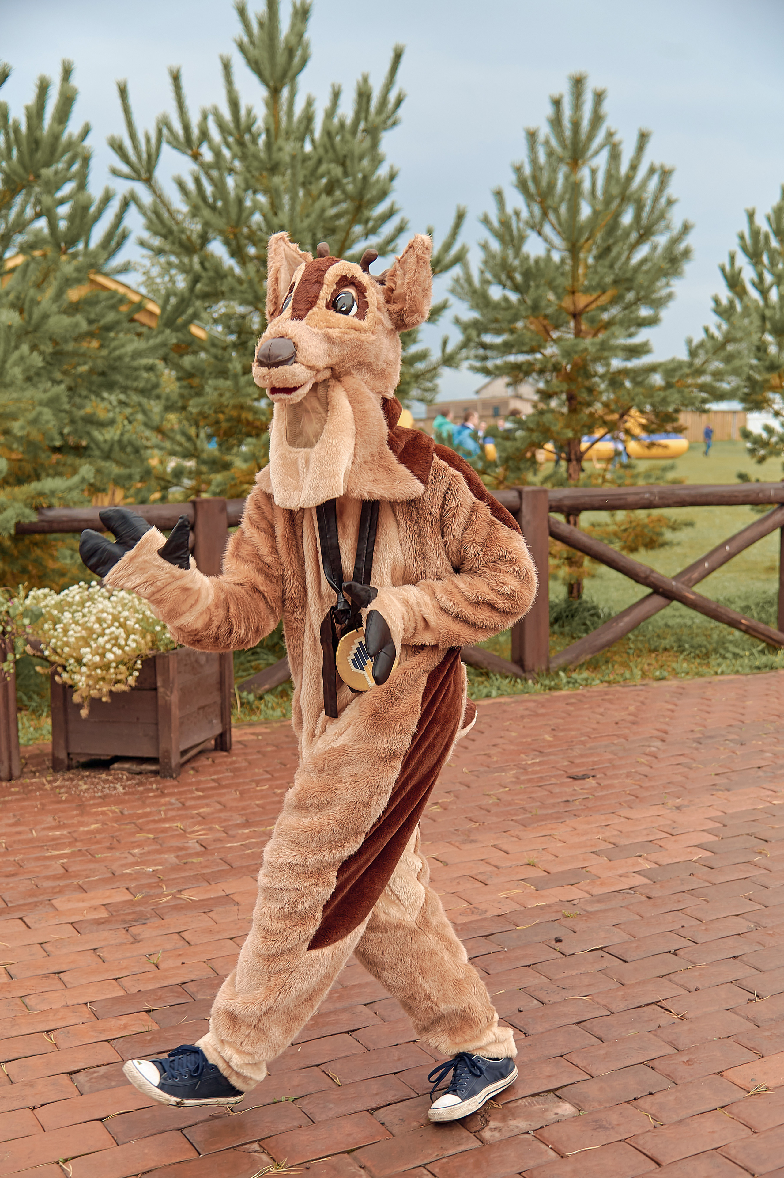 Портфолио репортажной фотосъёмки: "Роснефть" День нефтяника. Фотограф Яковлев Роман — Красноярск