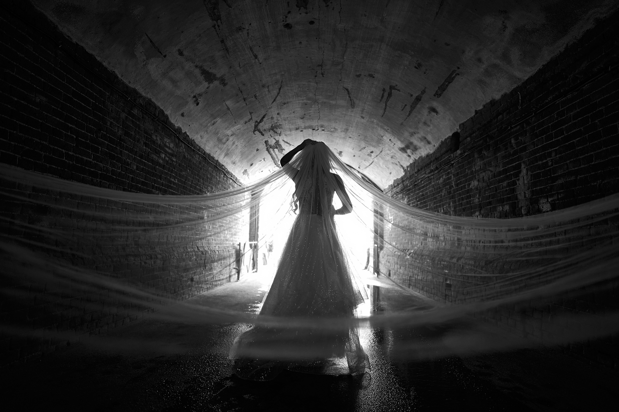 Каролина и Сергей. Фотограф Яковлев Роман — Красноярск