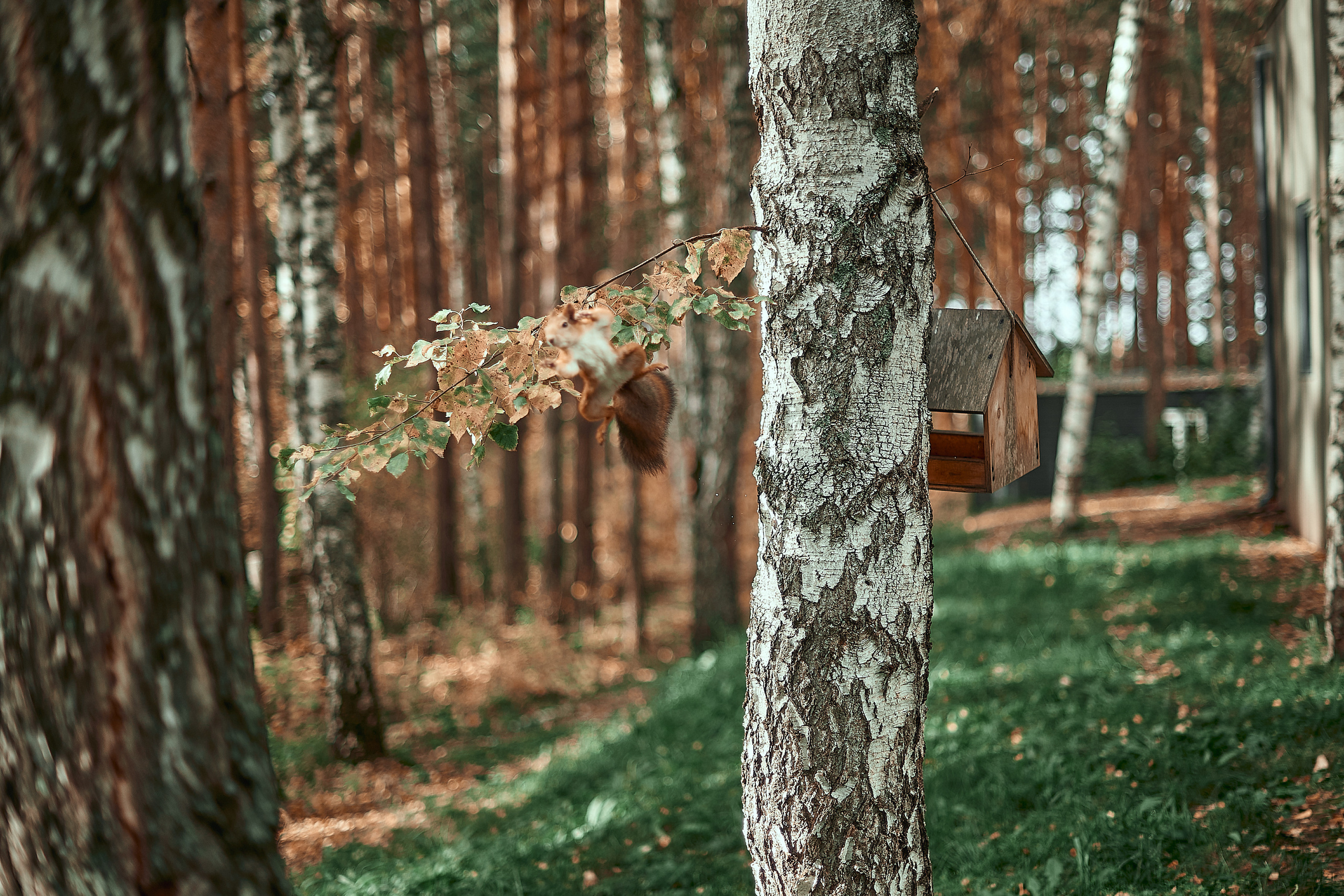 Портфолио репортажной фотосъёмки: День туризма. Фотограф Яковлев Роман — Красноярск