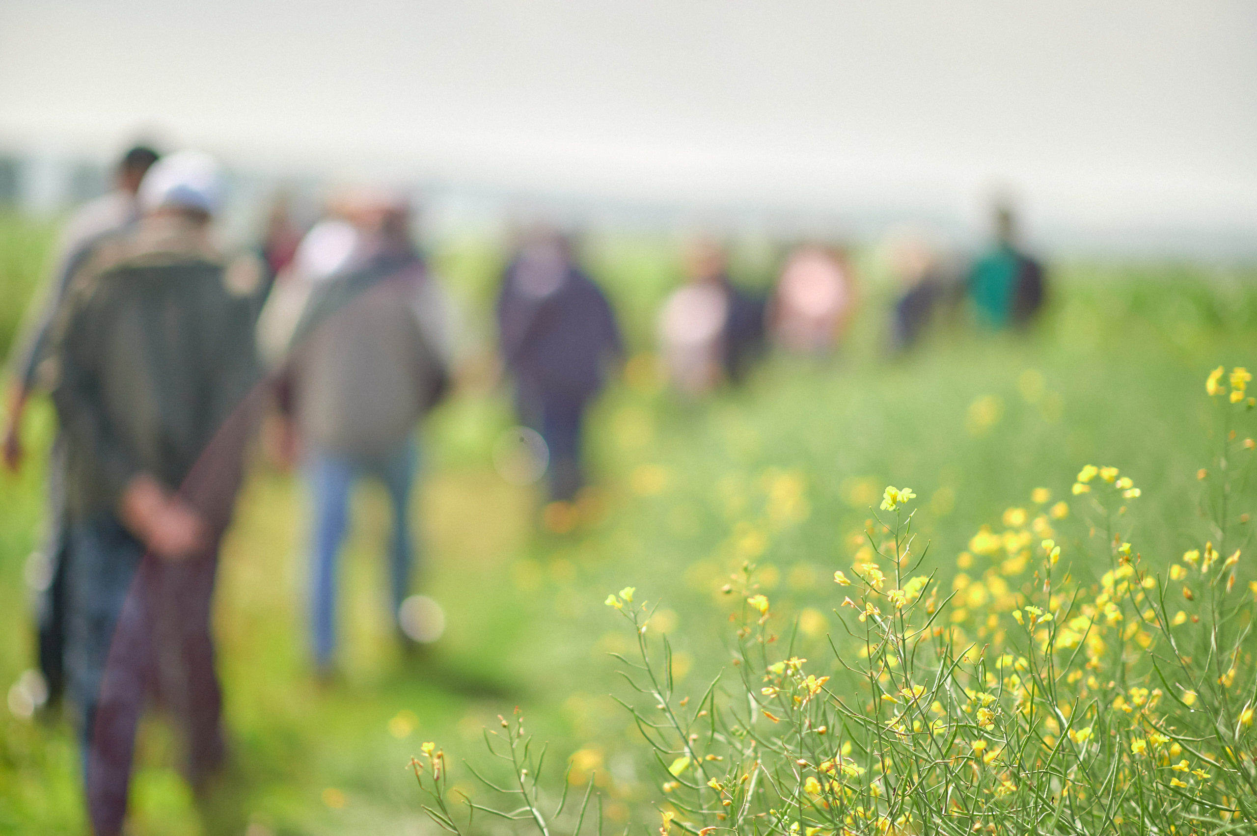 Портфолио репортажной фотосъёмки: Компания "Агросервис" КССС посёлок-Авда. Фотограф Яковлев Роман — Красноярск