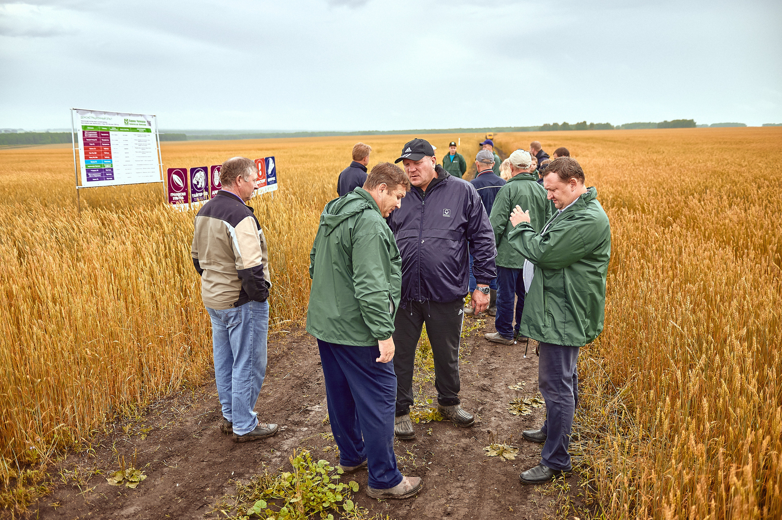 Портфолио репортажной фотосъёмки: Компания "Агросервис" КССС посёлок-Авда. Фотограф Яковлев Роман — Красноярск