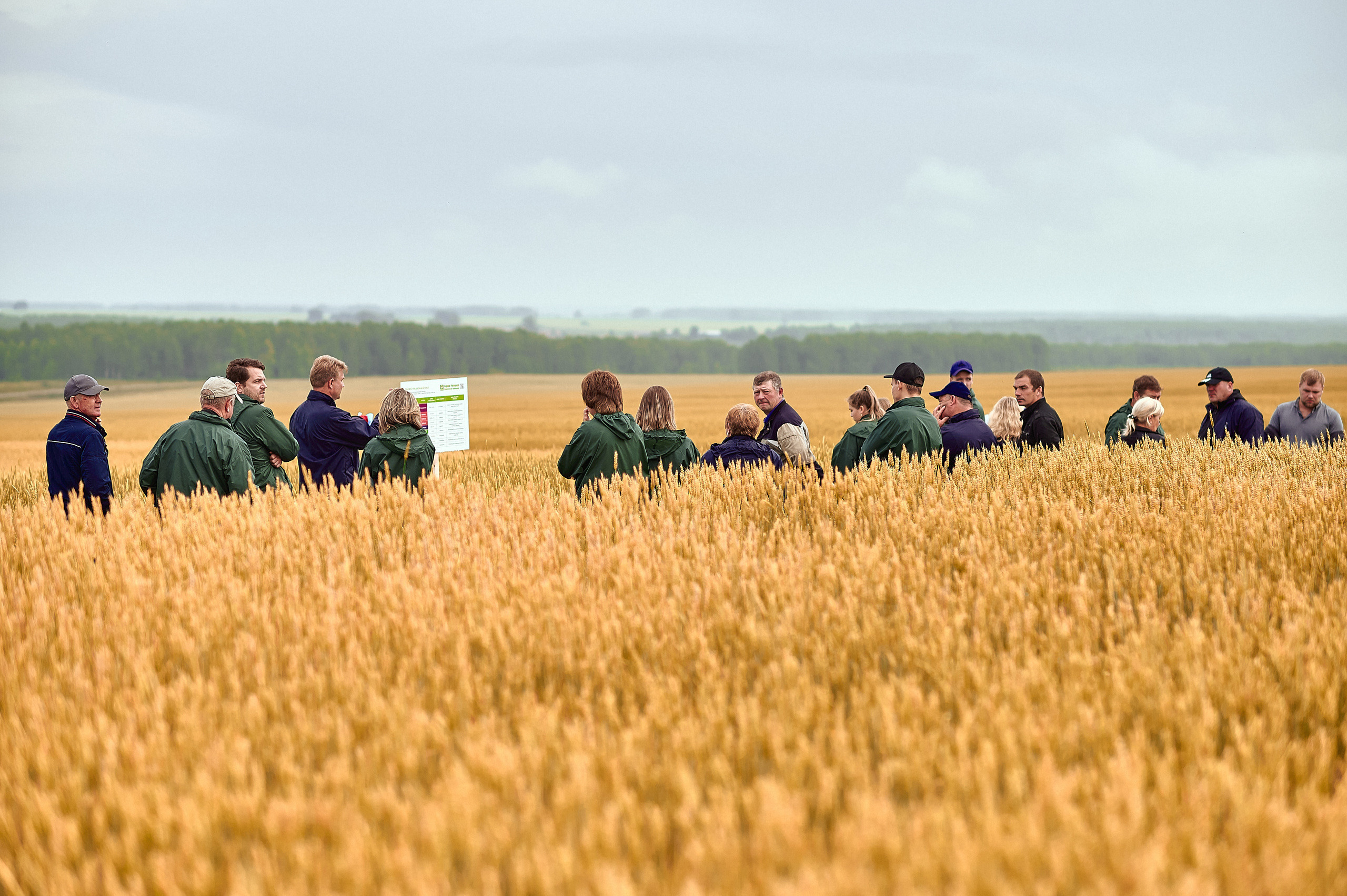 Портфолио репортажной фотосъёмки: Компания "Агросервис" КССС посёлок-Авда. Фотограф Яковлев Роман — Красноярск