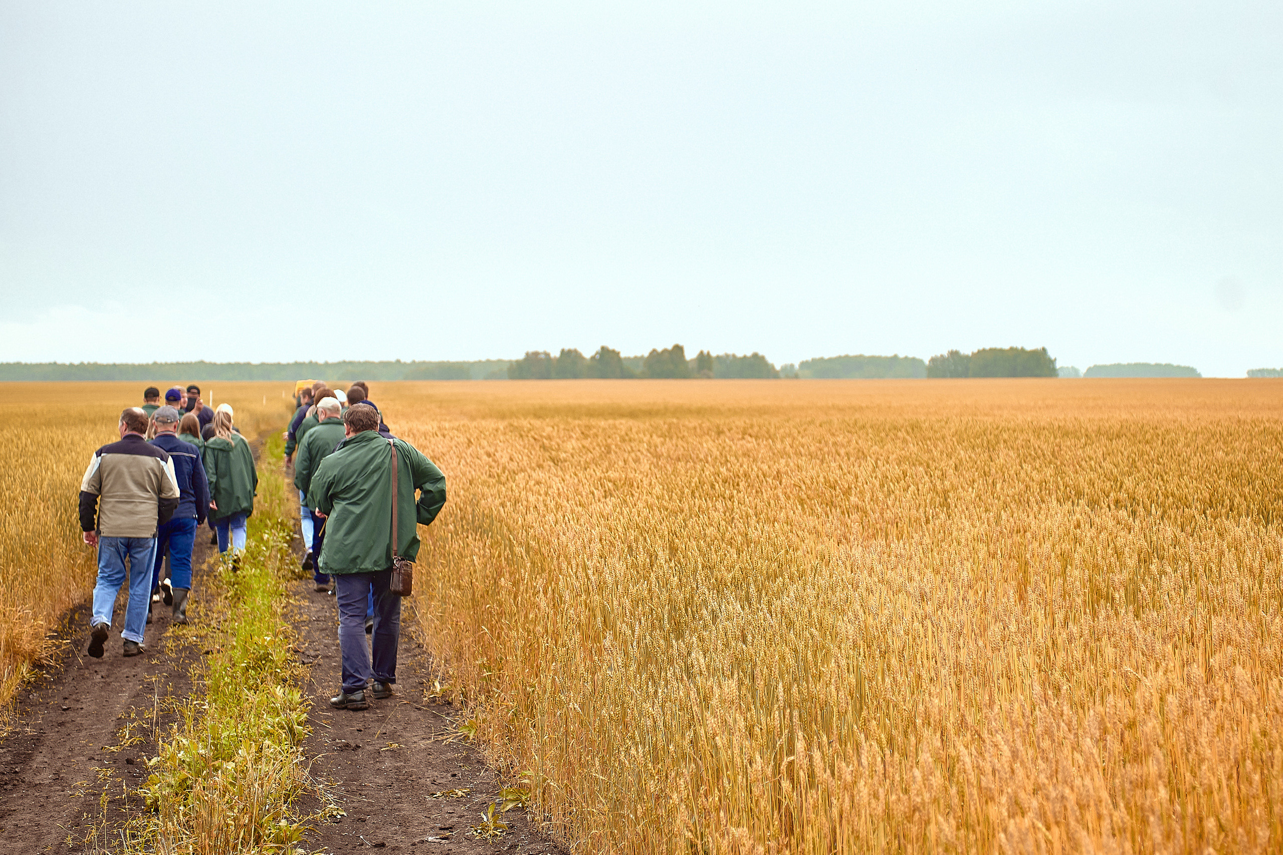 Портфолио репортажной фотосъёмки: Компания "Агросервис" КССС посёлок-Авда. Фотограф Яковлев Роман — Красноярск