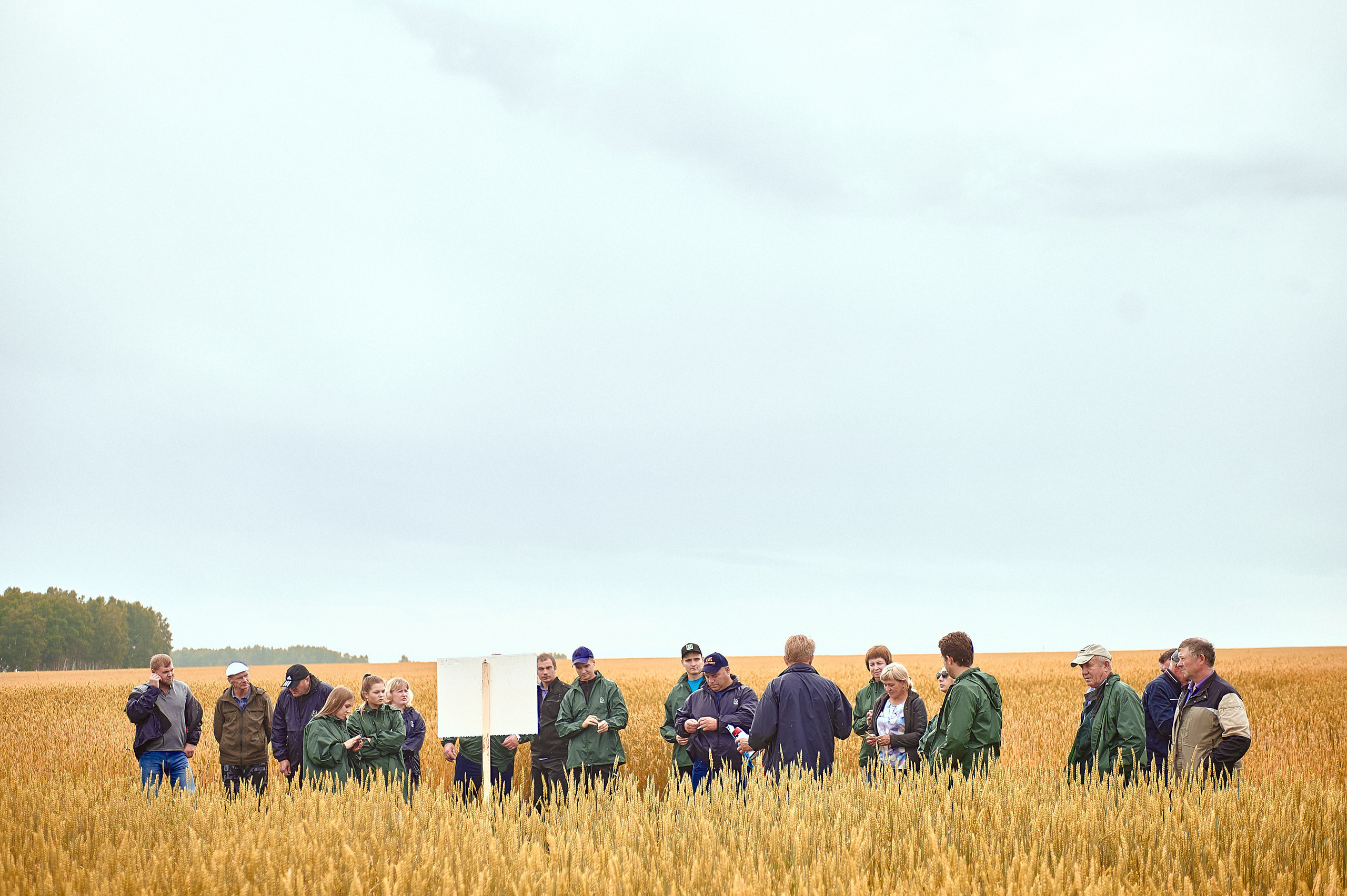 Портфолио репортажной фотосъёмки: Компания "Агросервис" КССС посёлок-Авда. Фотограф Яковлев Роман — Красноярск