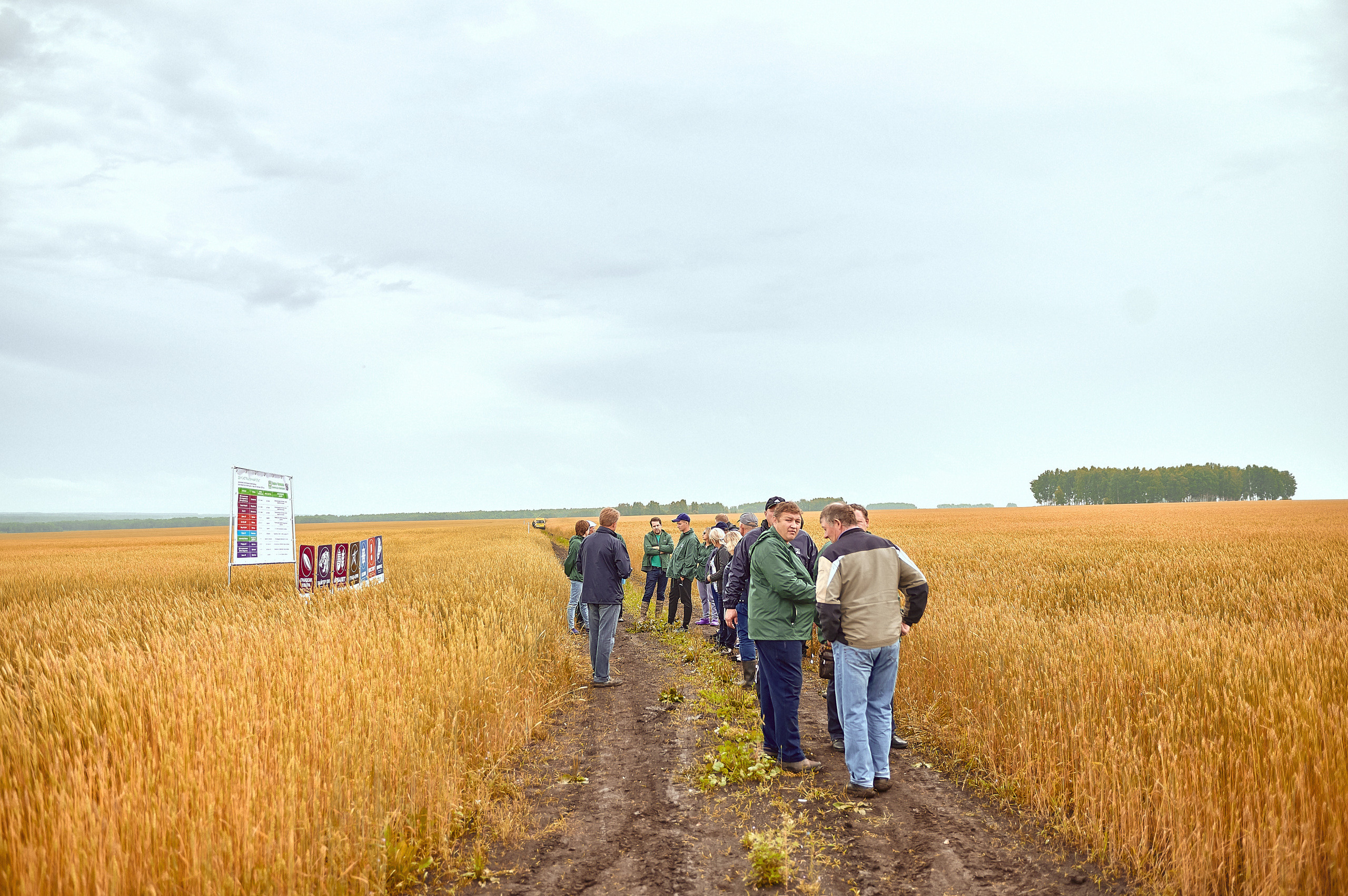 Портфолио репортажной фотосъёмки: Компания "Агросервис" КССС посёлок-Авда. Фотограф Яковлев Роман — Красноярск