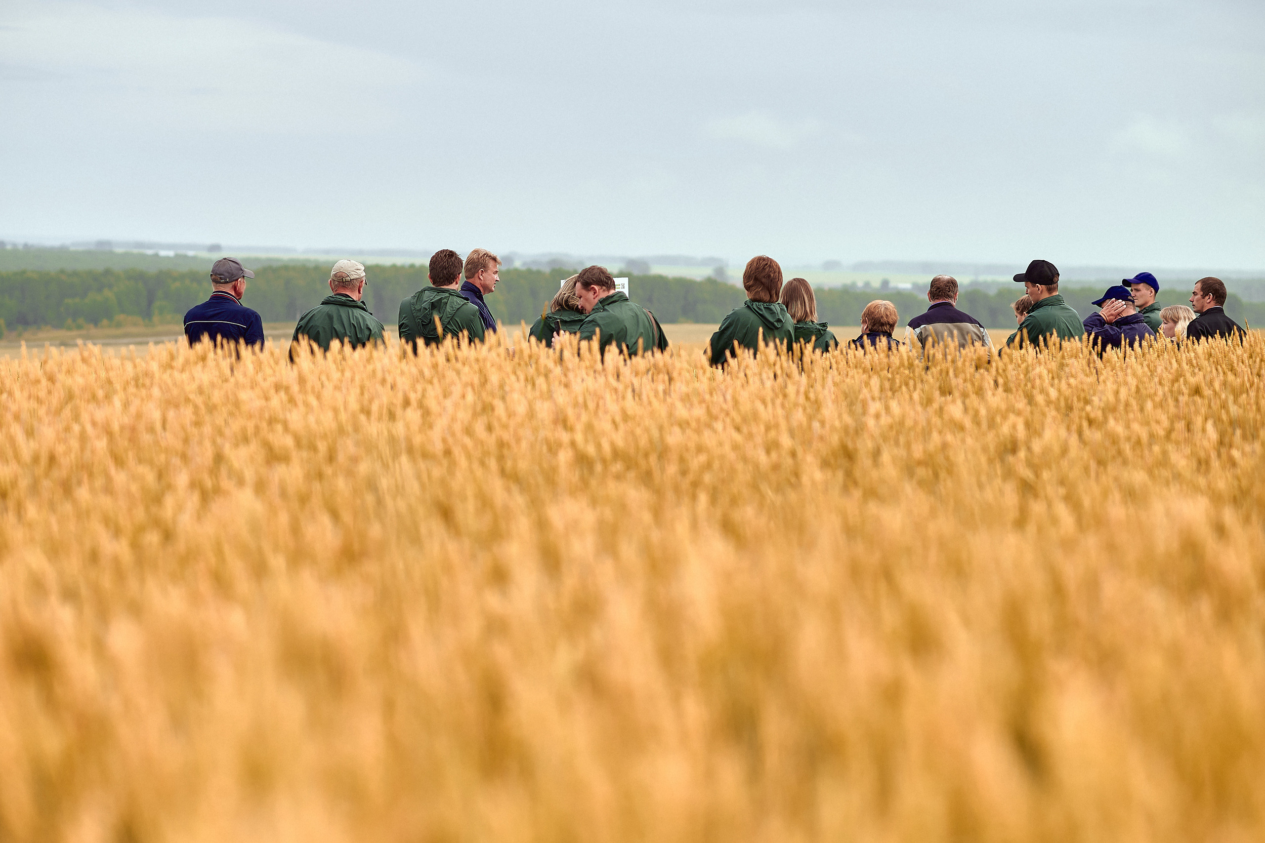 Портфолио репортажной фотосъёмки: Компания "Агросервис" КССС посёлок-Авда. Фотограф Яковлев Роман — Красноярск