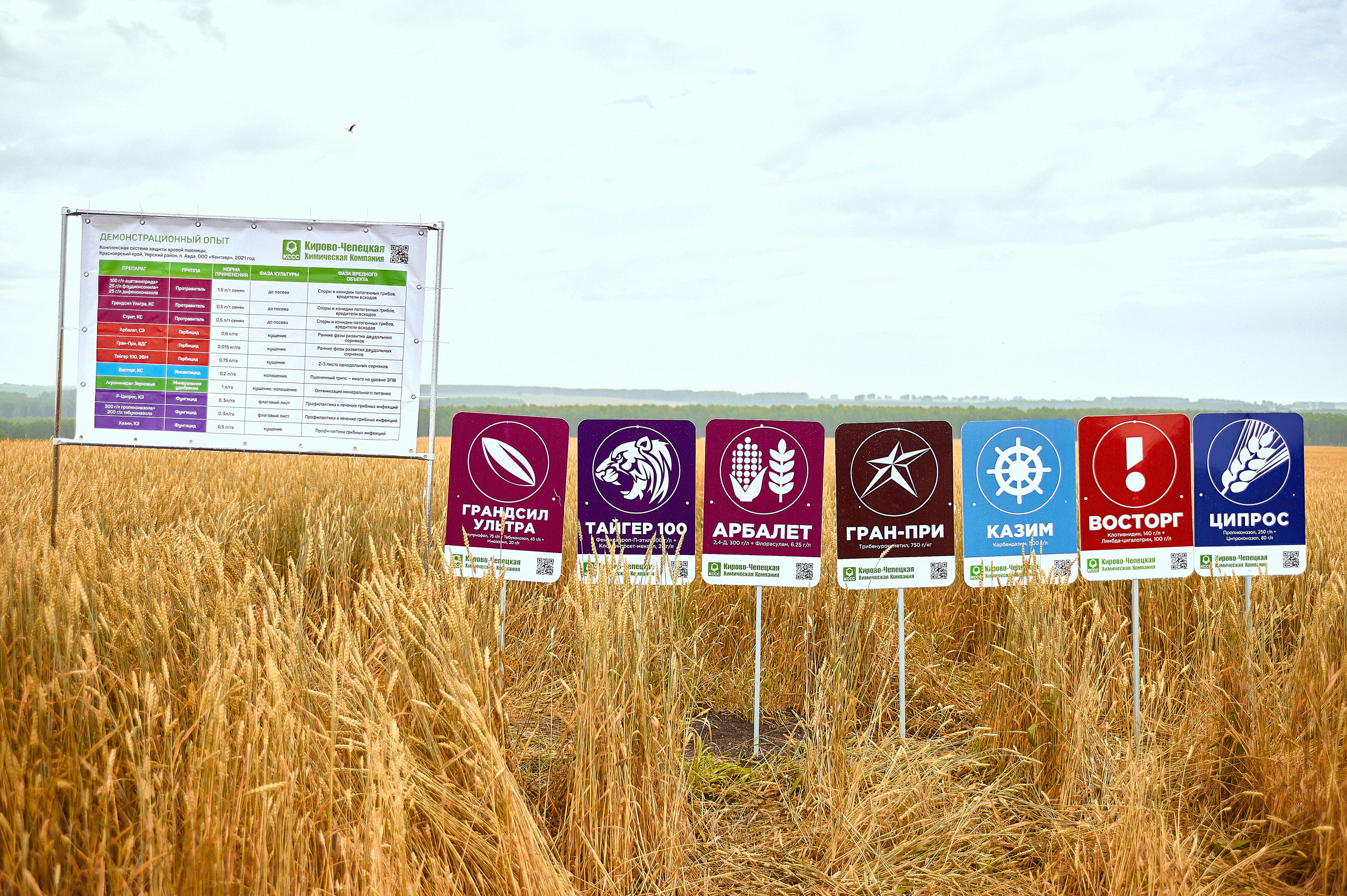 Портфолио репортажной фотосъёмки: Компания "Агросервис" КССС посёлок-Авда. Фотограф Яковлев Роман — Красноярск