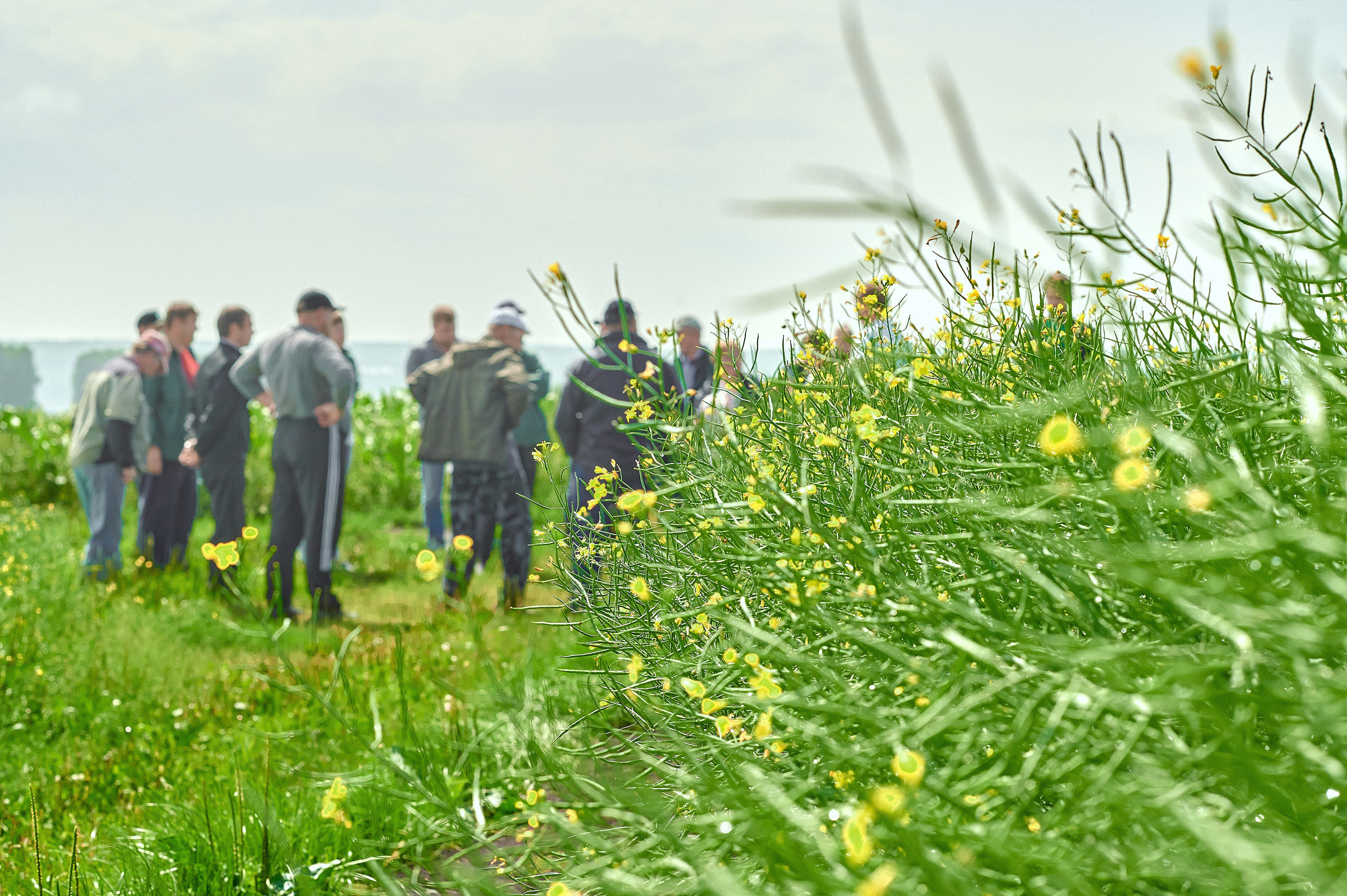 Портфолио репортажной фотосъёмки: Компания "Агросервис" КССС посёлок-Авда. Фотограф Яковлев Роман — Красноярск