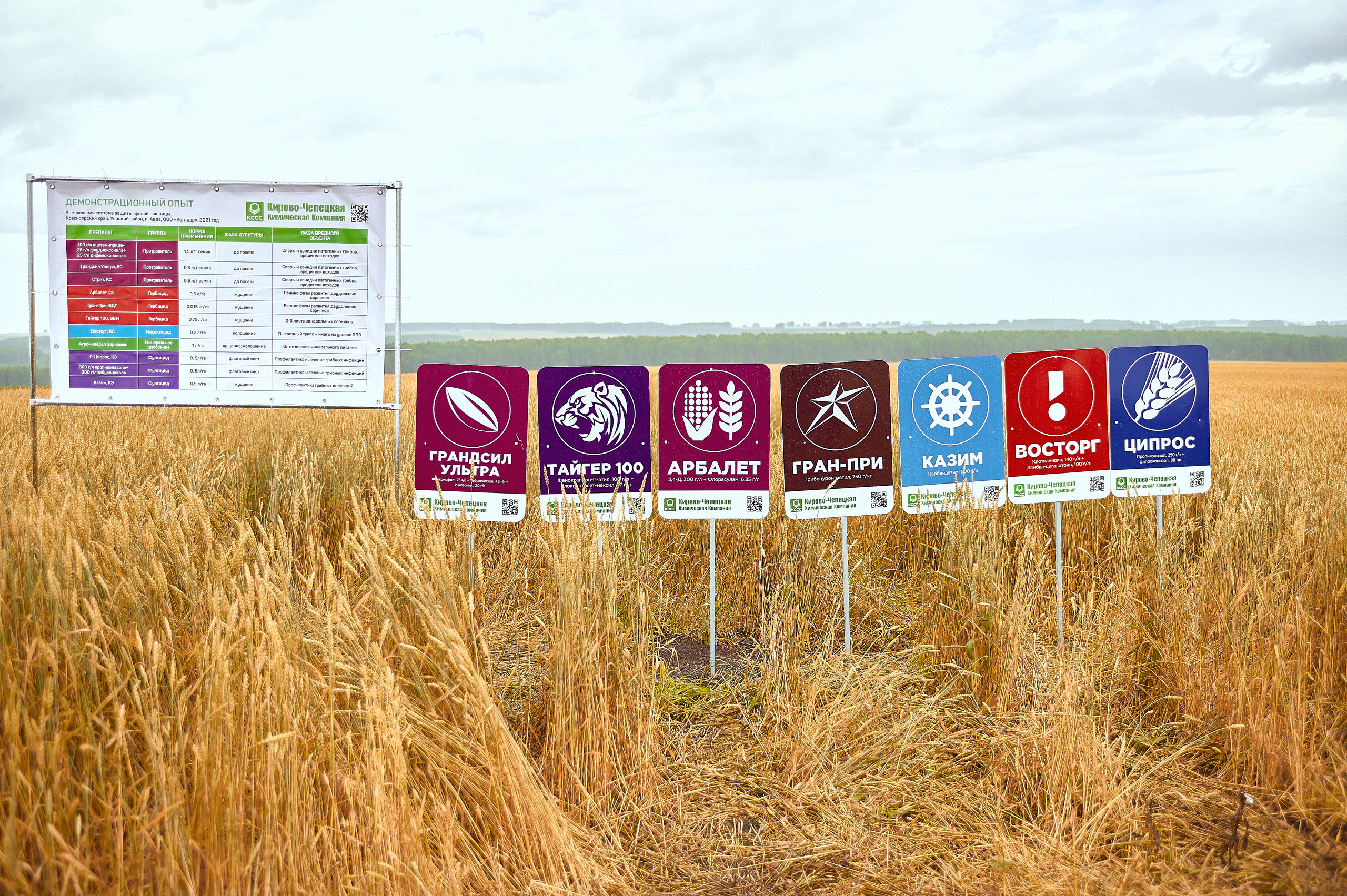 Портфолио репортажной фотосъёмки: Компания "Агросервис" КССС посёлок-Авда. Фотограф Яковлев Роман — Красноярск