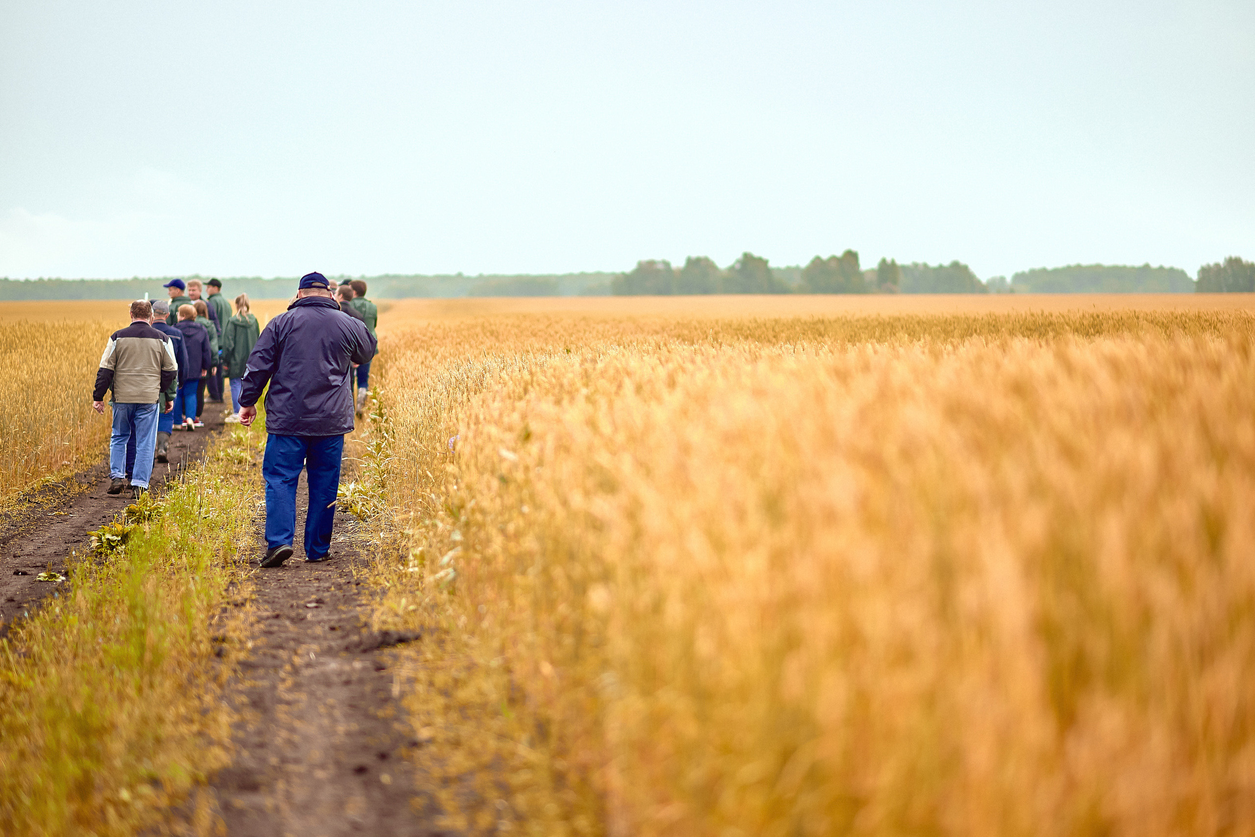 Портфолио репортажной фотосъёмки: Компания "Агросервис" КССС посёлок-Авда. Фотограф Яковлев Роман — Красноярск