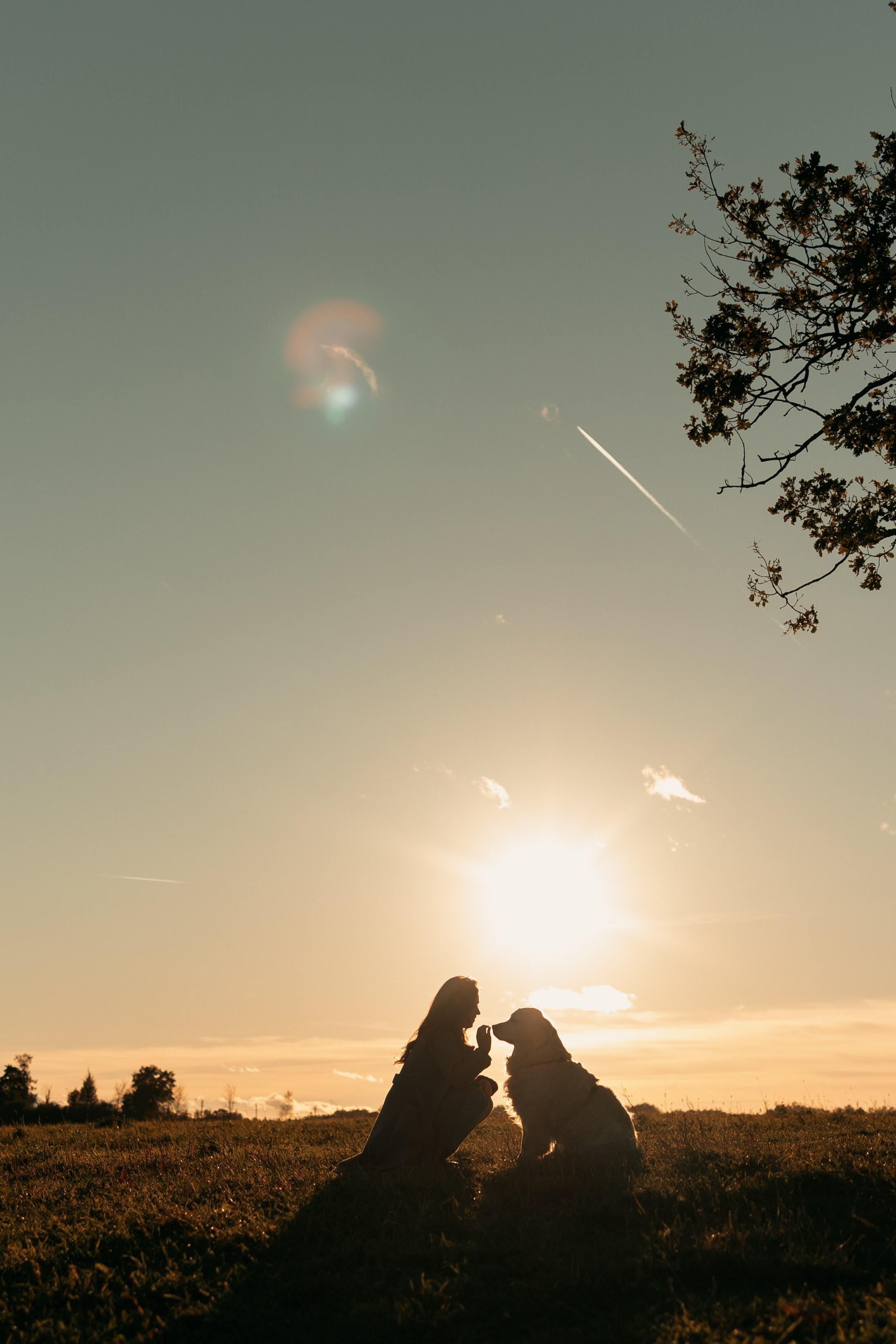 Лера и Скай. Фотограф — Анималист | Санкт-Петербург