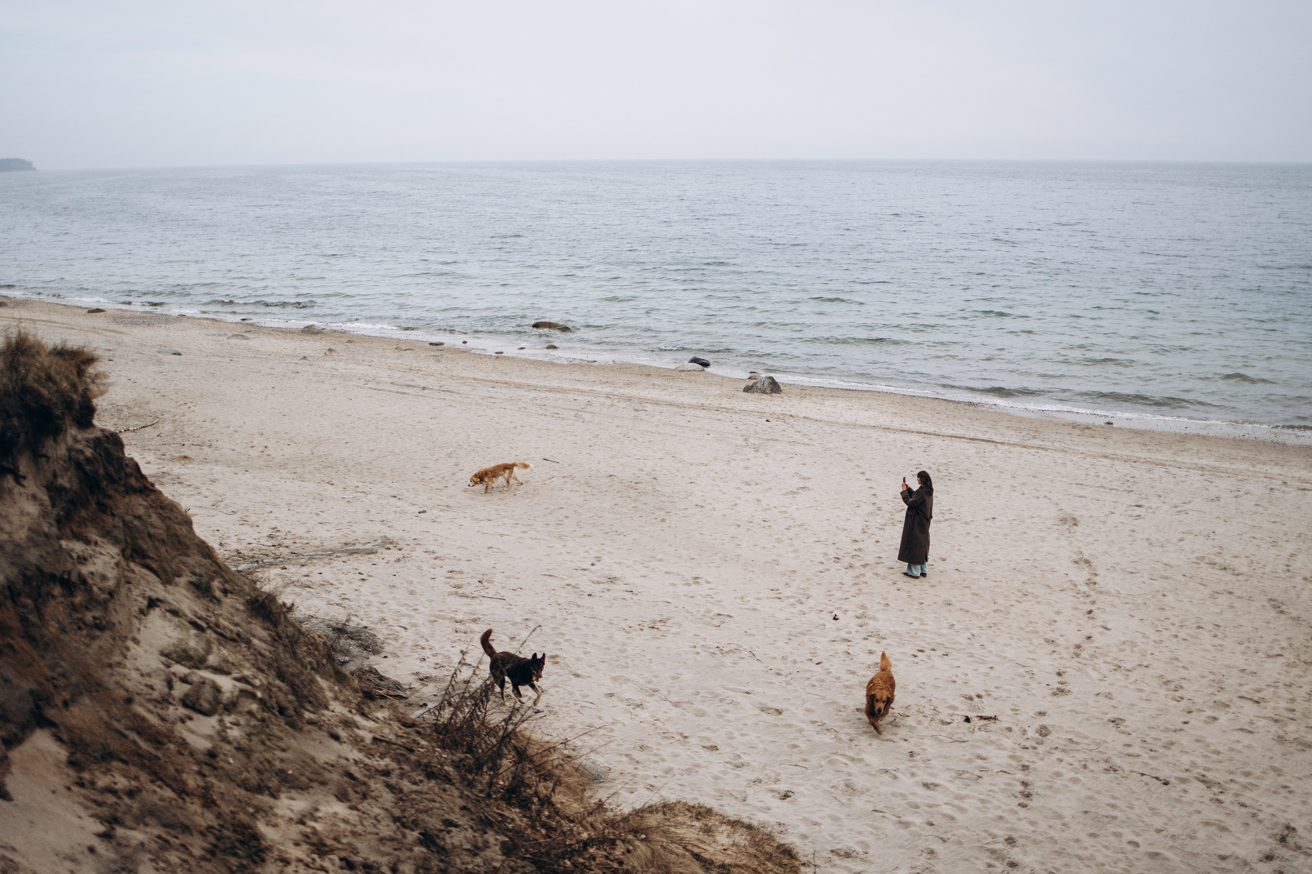 Юля и Максик. Фотограф — Анималист | Санкт-Петербург