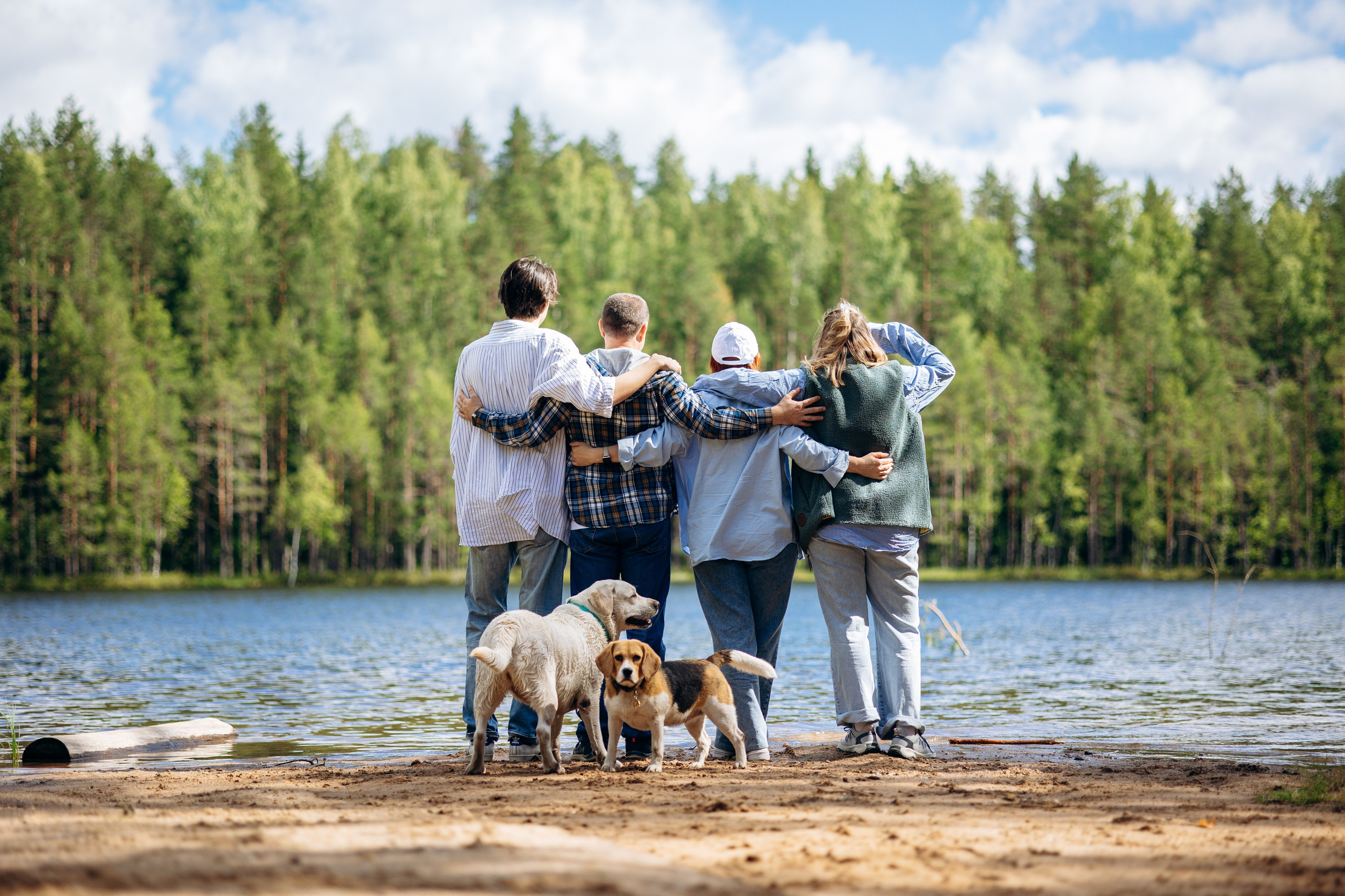 Котофеи и их семья. Фотограф — Анималист | Санкт-Петербург