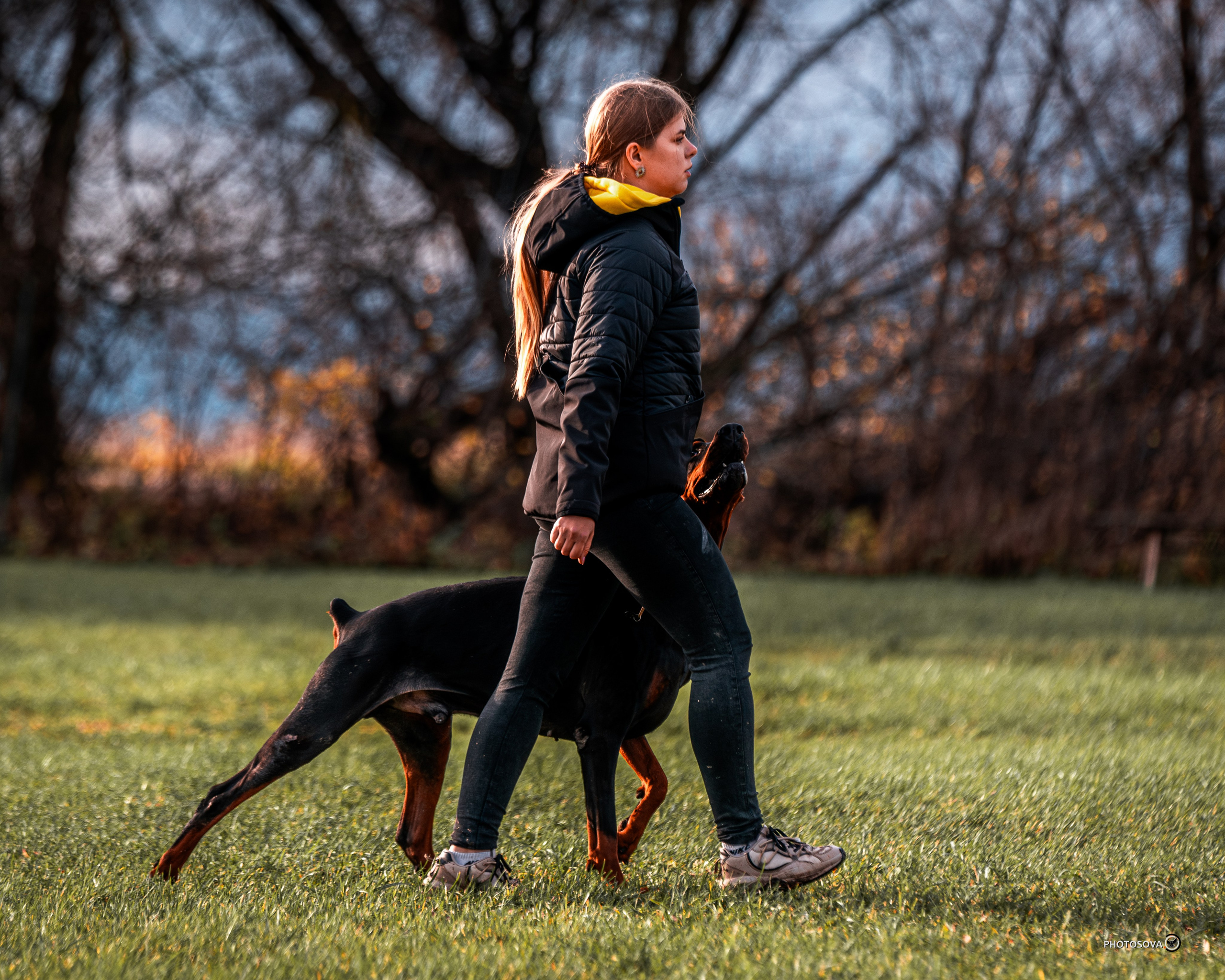 МЫ — КОМАНДА (соревнования) OKD, BH, IBGH, IGP. Фотограф-анималист, семейный фотограф в Москве и Подмосковье. Фотосъёмка кинологических дисциплин