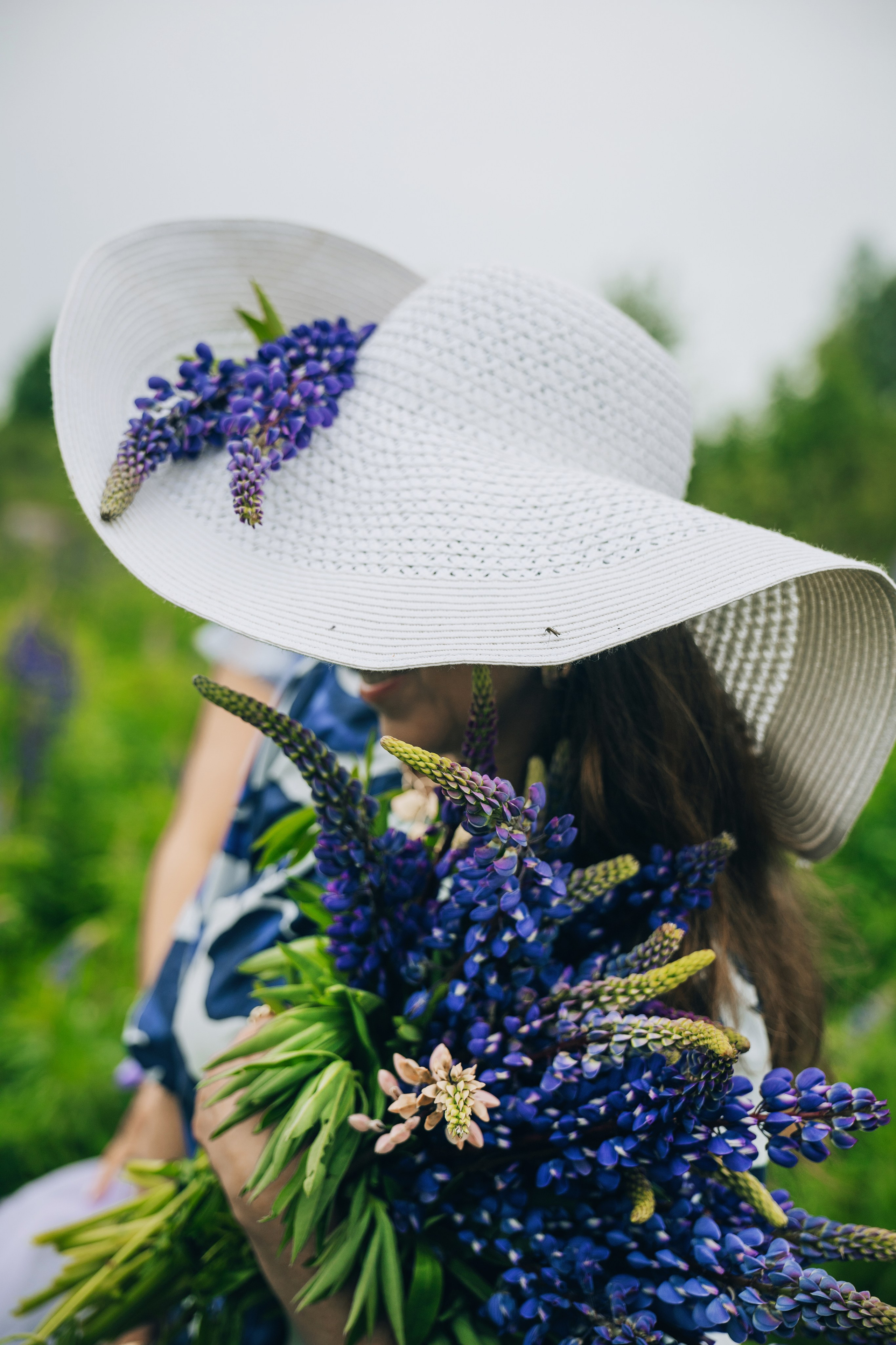 Люпины. Фотограф Александра Кузуб Санкт-Петербург