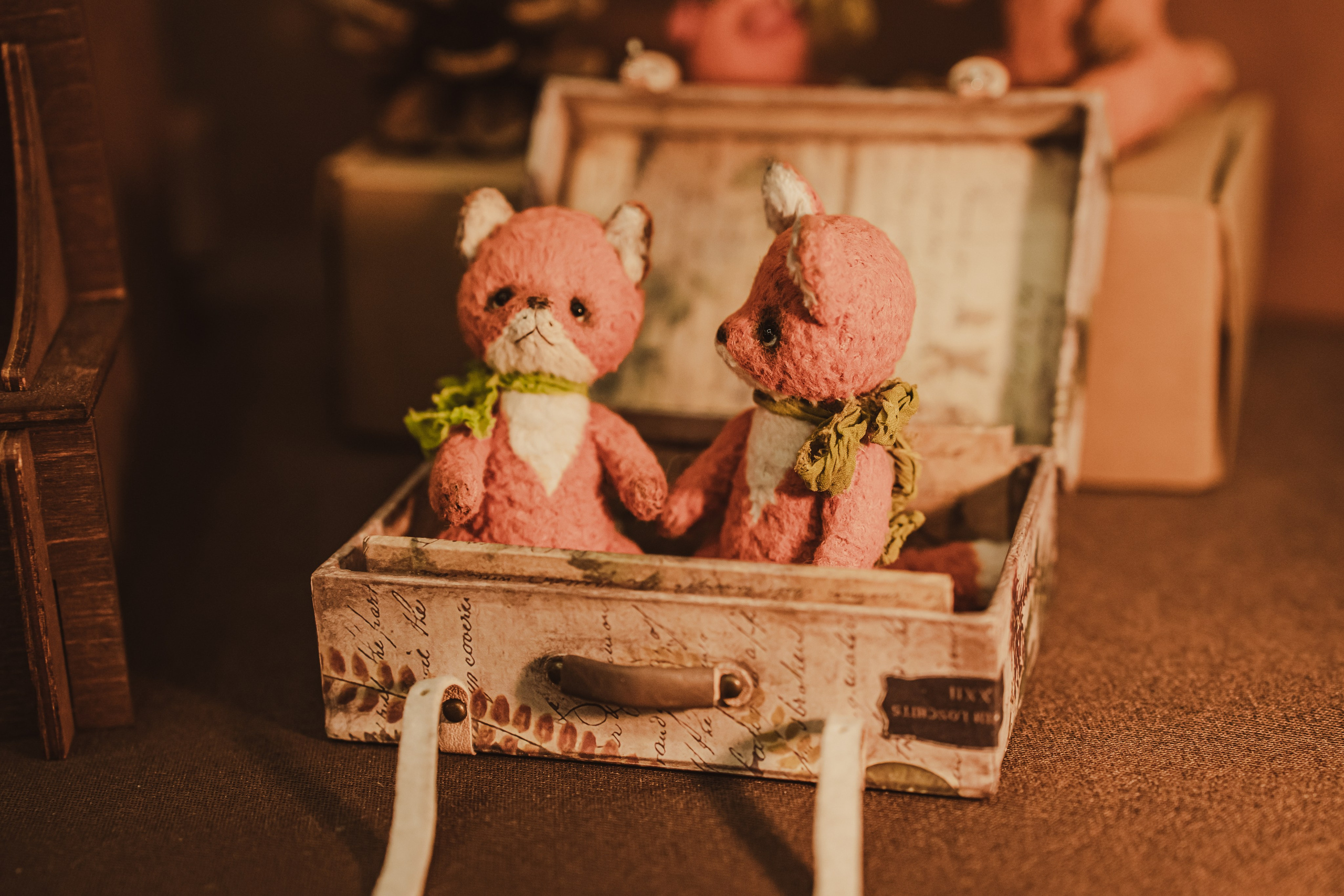 Fox Family fest. Репортажный фотограф Анастасия Рубцова