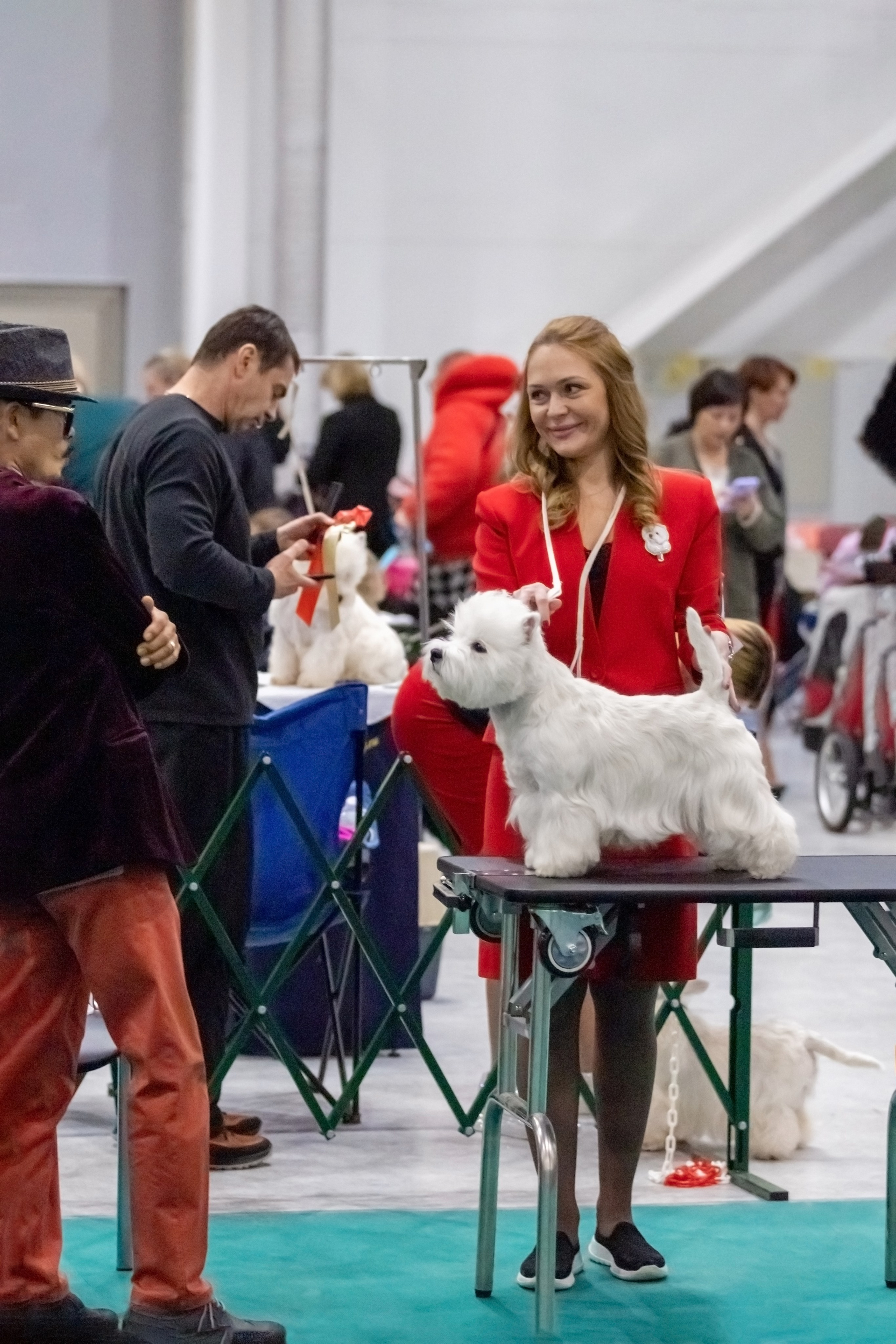 Выставки. Фотограф — анималист в Москве и области Ольга Петракова