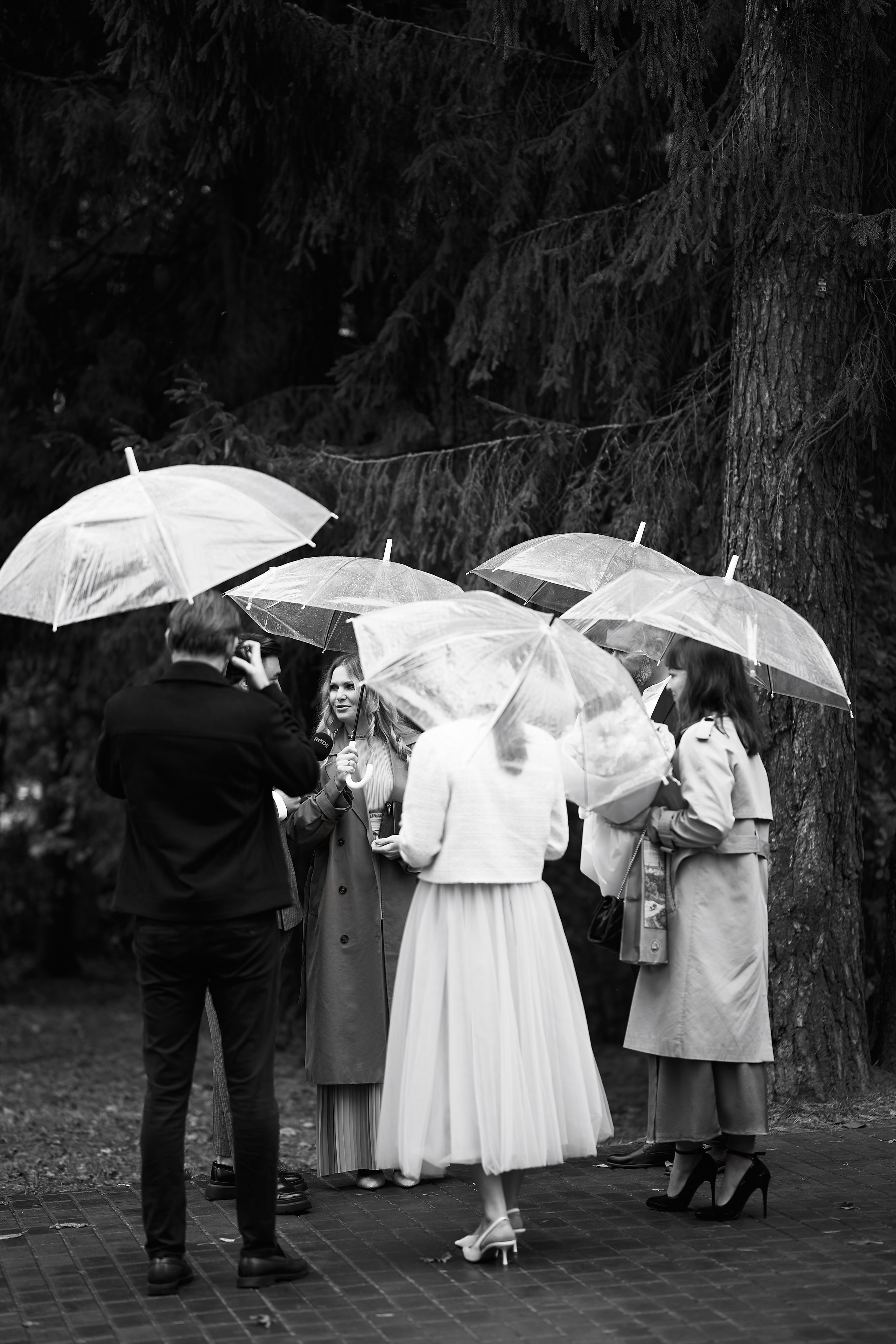 Алина и Илья. Свадебный фотограф Минск РБ