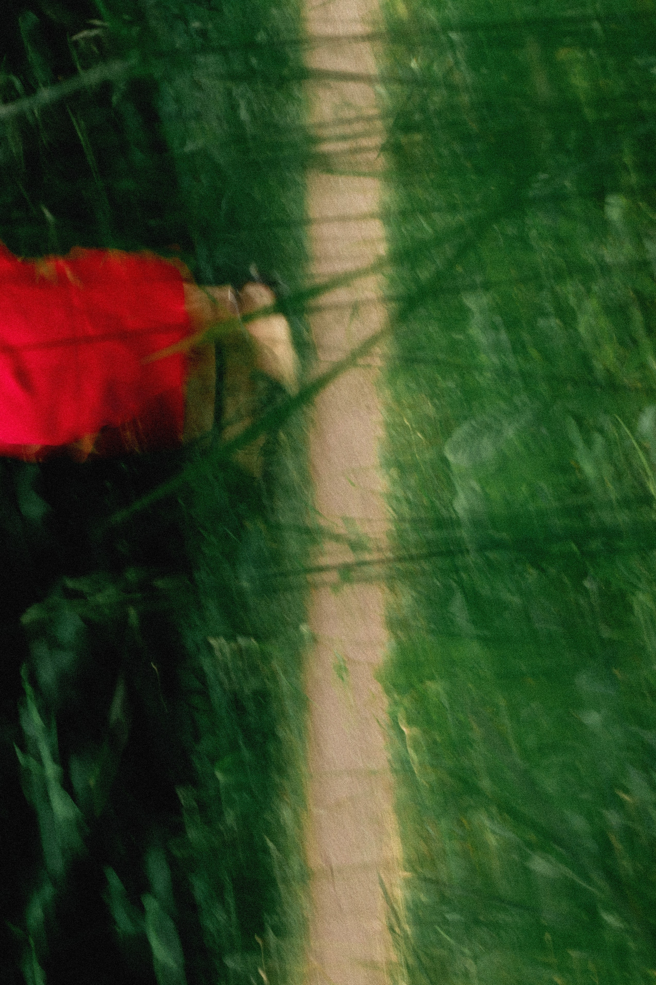 Эстетика П р о Я в л е н и я. Виноградова Маргарита. Фотограф P r o Явления