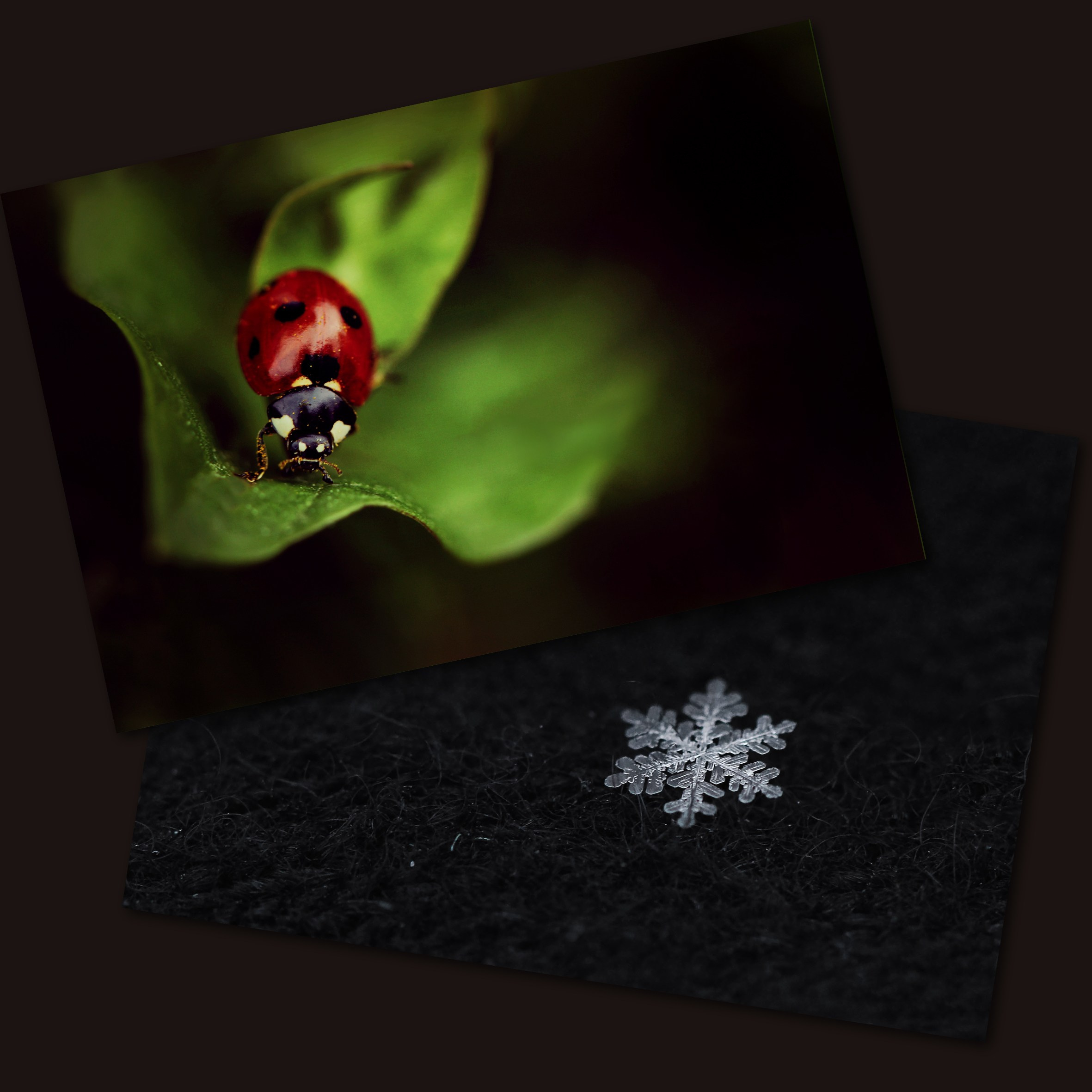 Обо мне. Ксения Воробьёва | Детский семейный фотограф и видеограф в Екатеринбурге