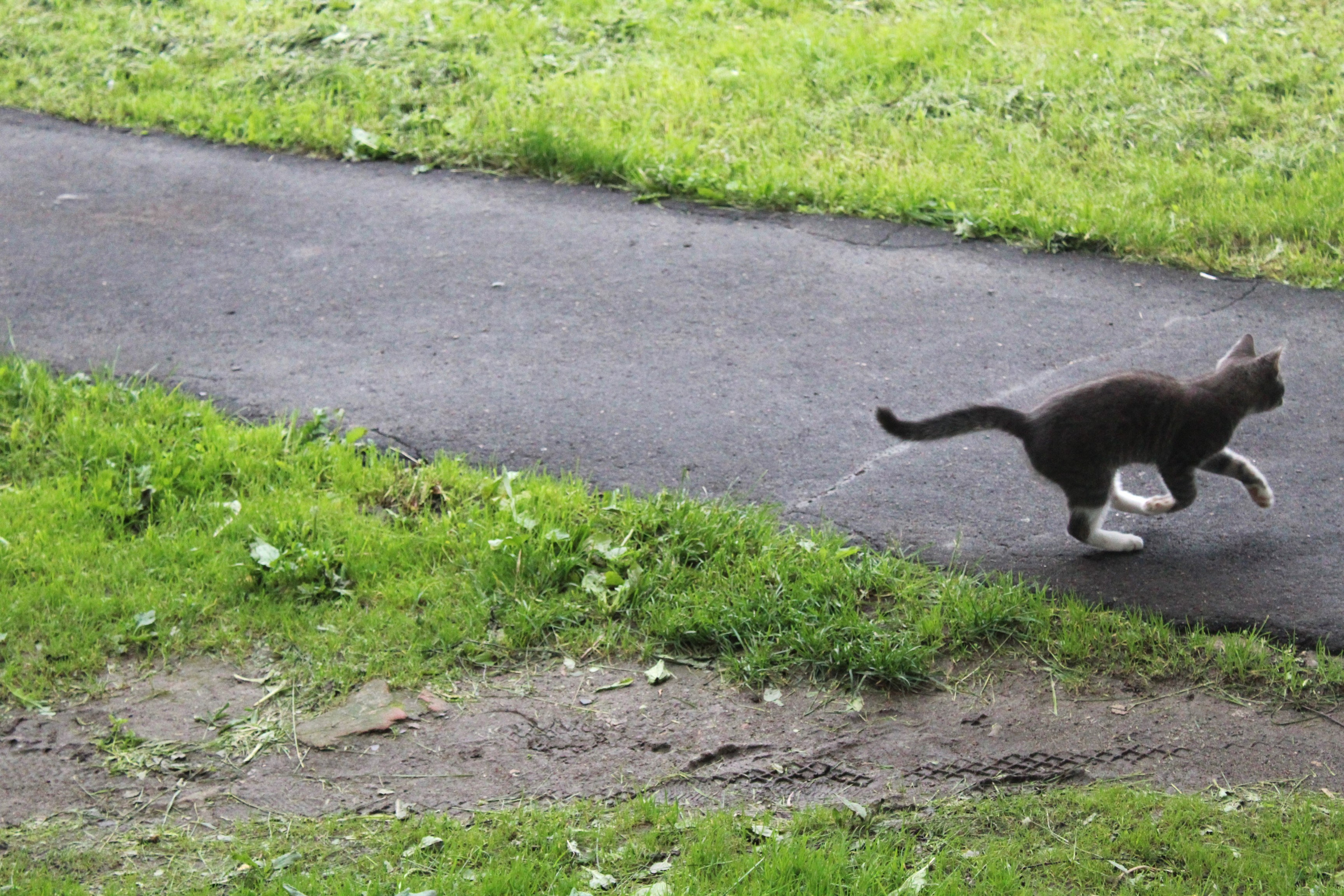 Всё, что я вижу вокруг себя