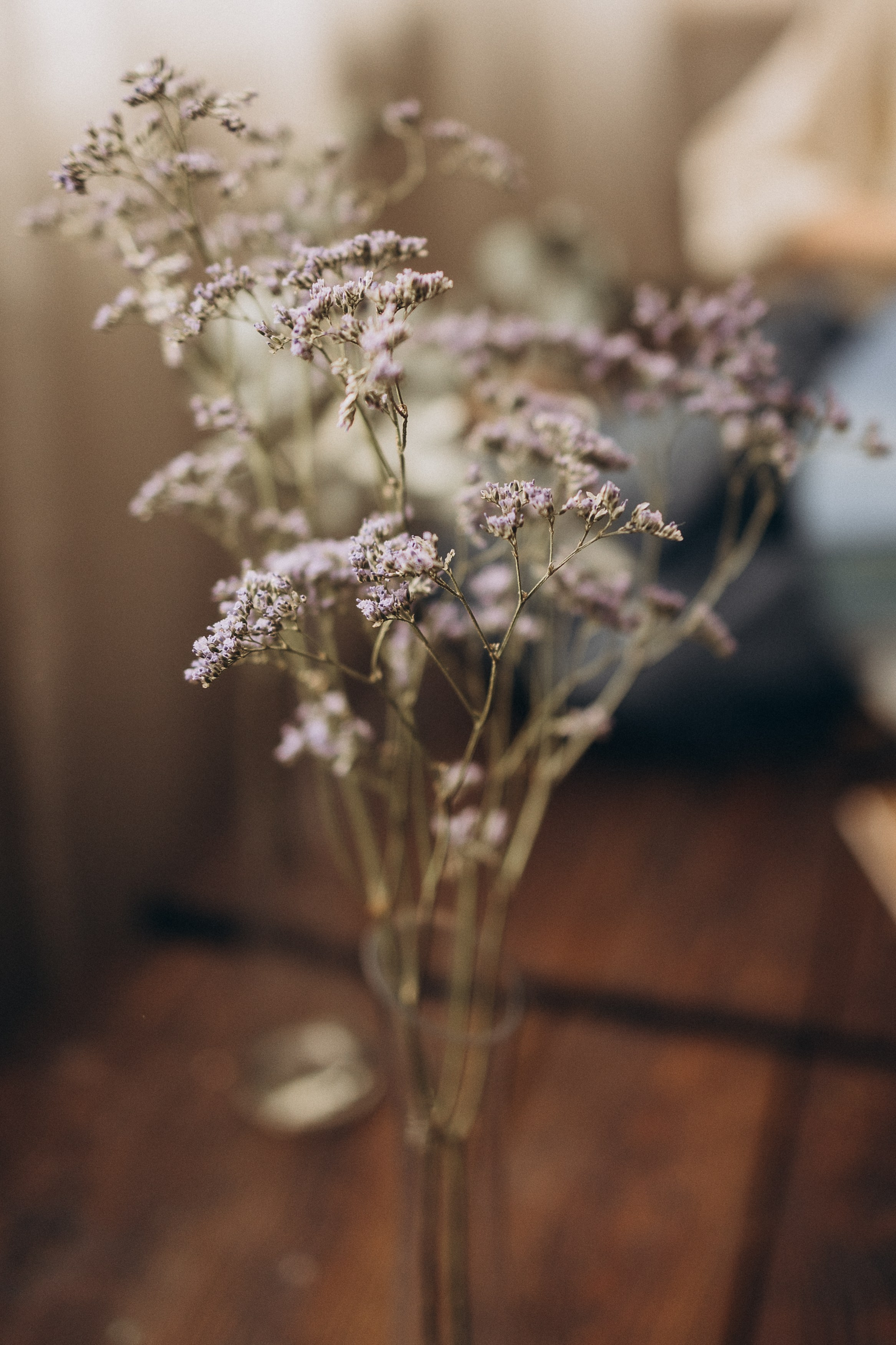 Лиза художник. Семейный и детский фотограф, женский портрет Москва Светлана Мертикова