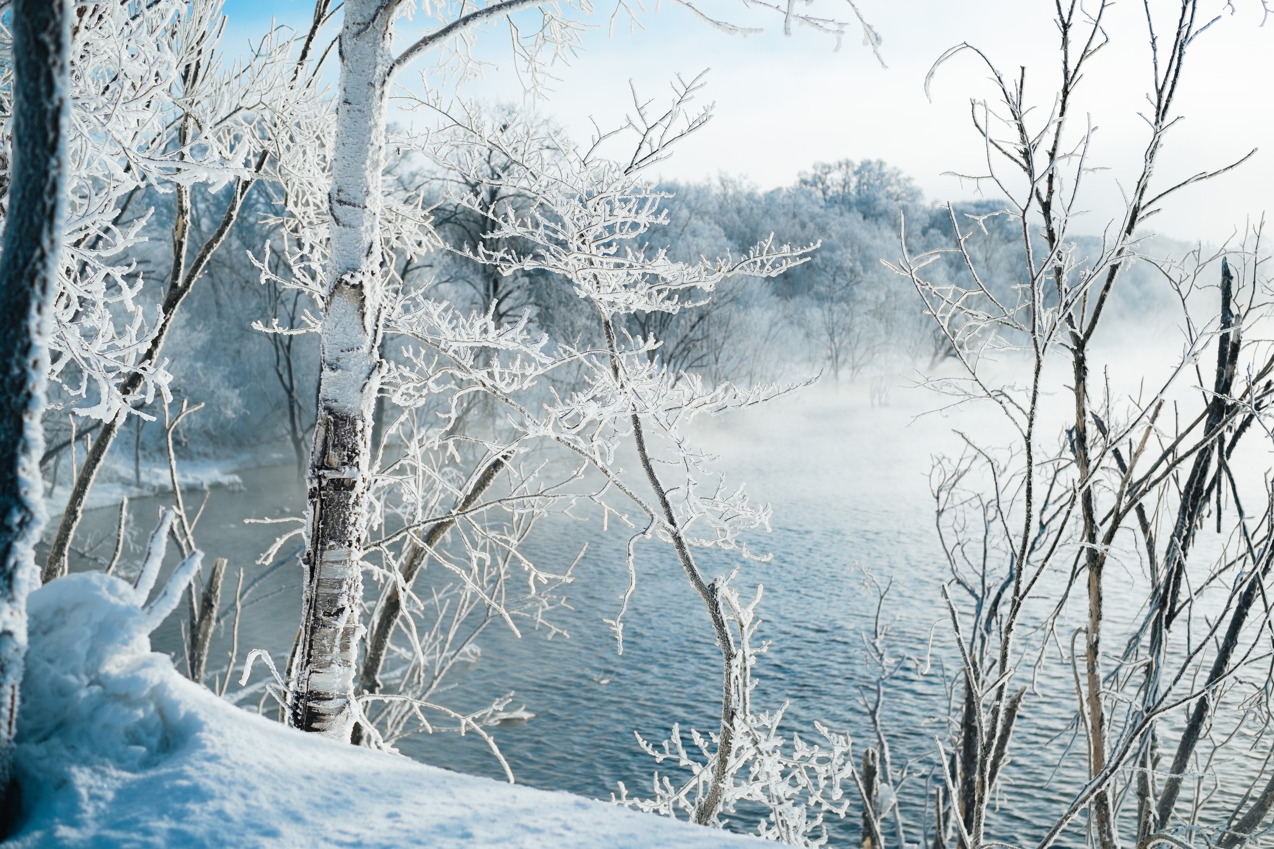 Курактачи. Фотограф Благовещенска Яна