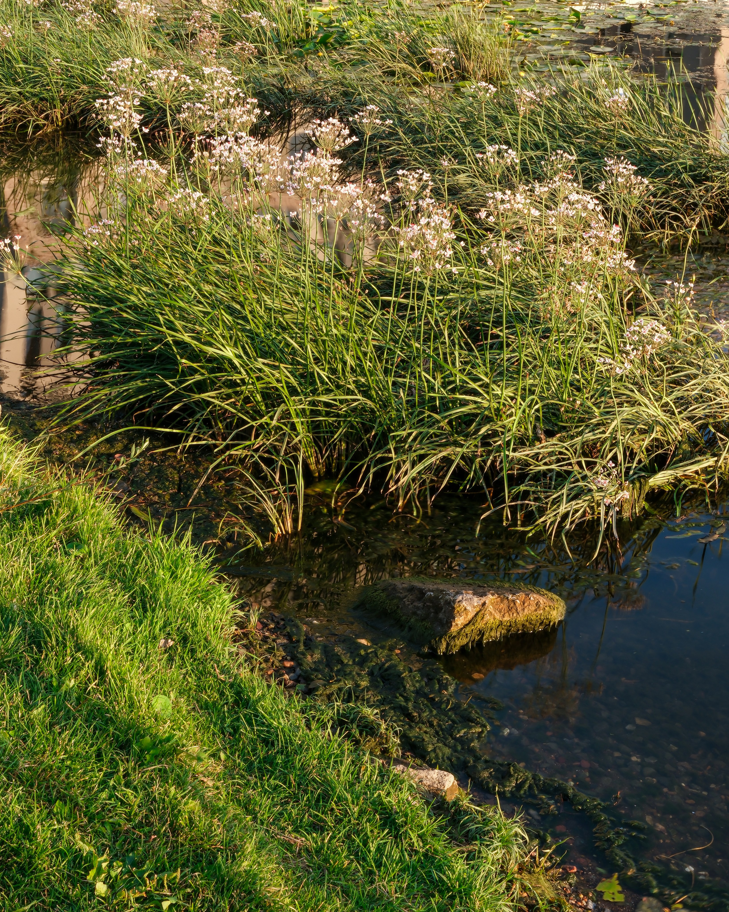 Жилой комплекс Now. Михаил Мулач | Архитектурный фотограф